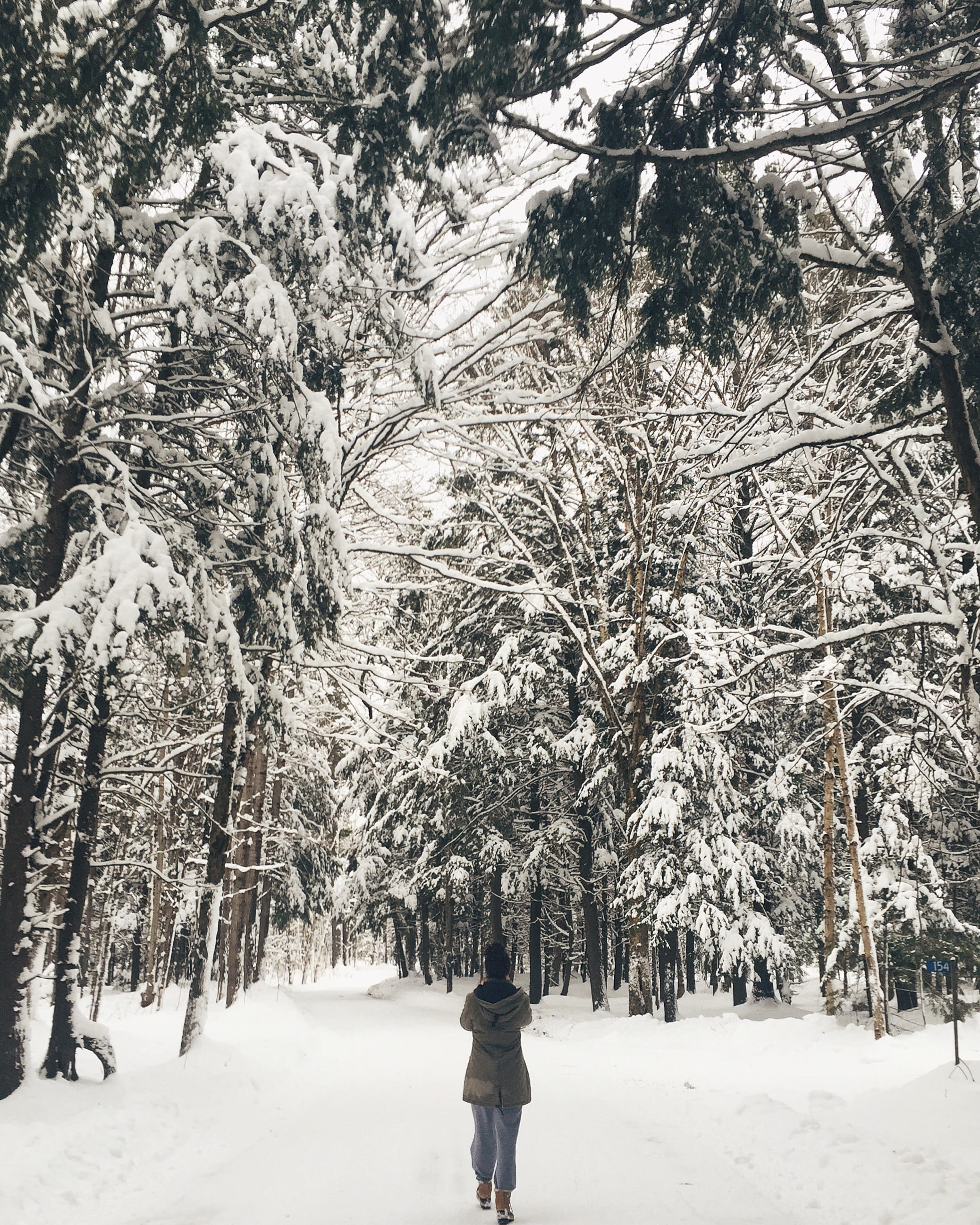 land, snow, forest, one person, tranquility, white color, cold temperature, tree, real people, girl, winter, plant, leisure activity, canada, wander, day, Phone HD Wallpaper