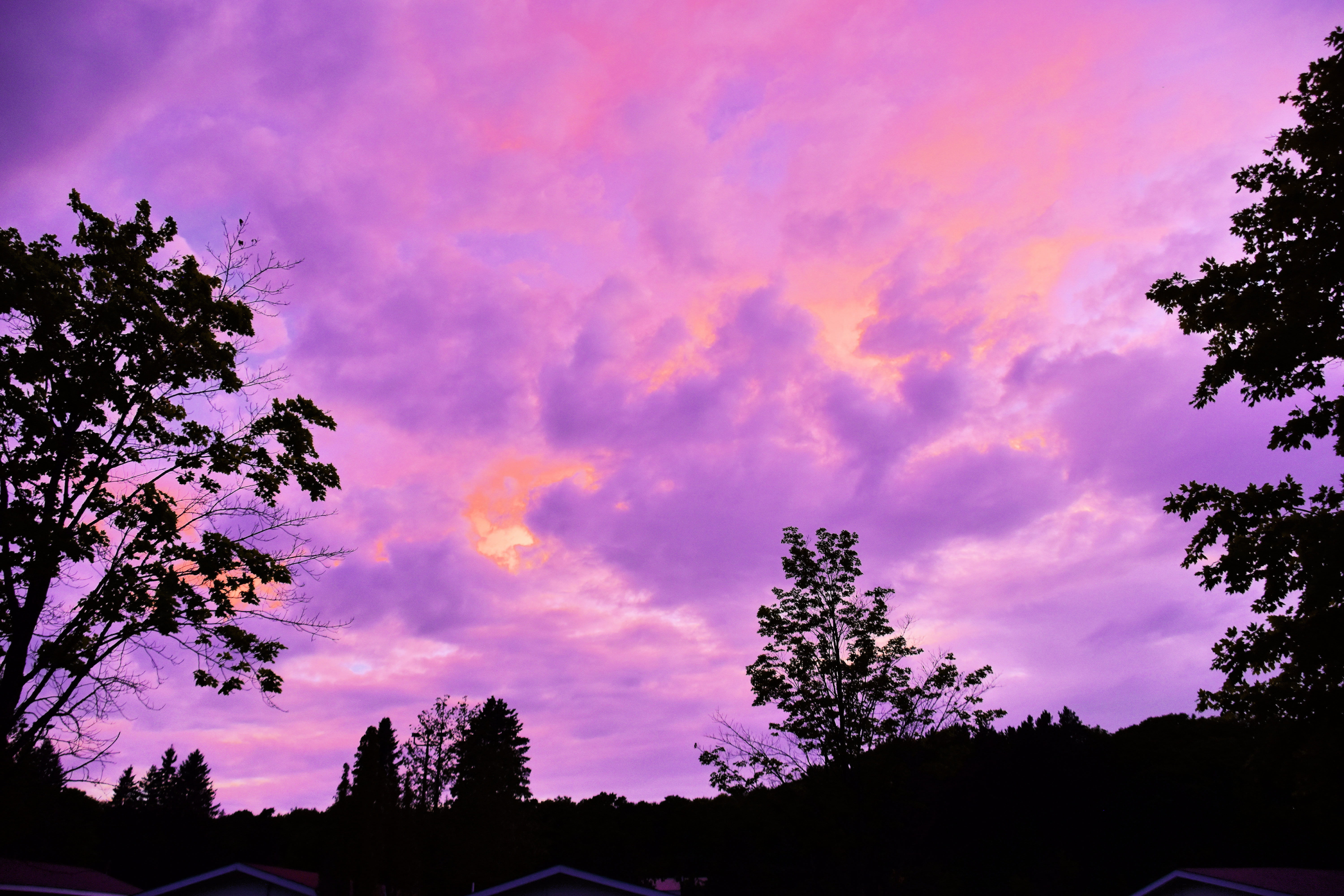 sky, no people, low angle view, dusk, muskoka, outdoors, cloud - sky, plant, non-urban scene, scenics - nature, canada, purple, pink color, tree, tranquil scene, HD Wallpaper