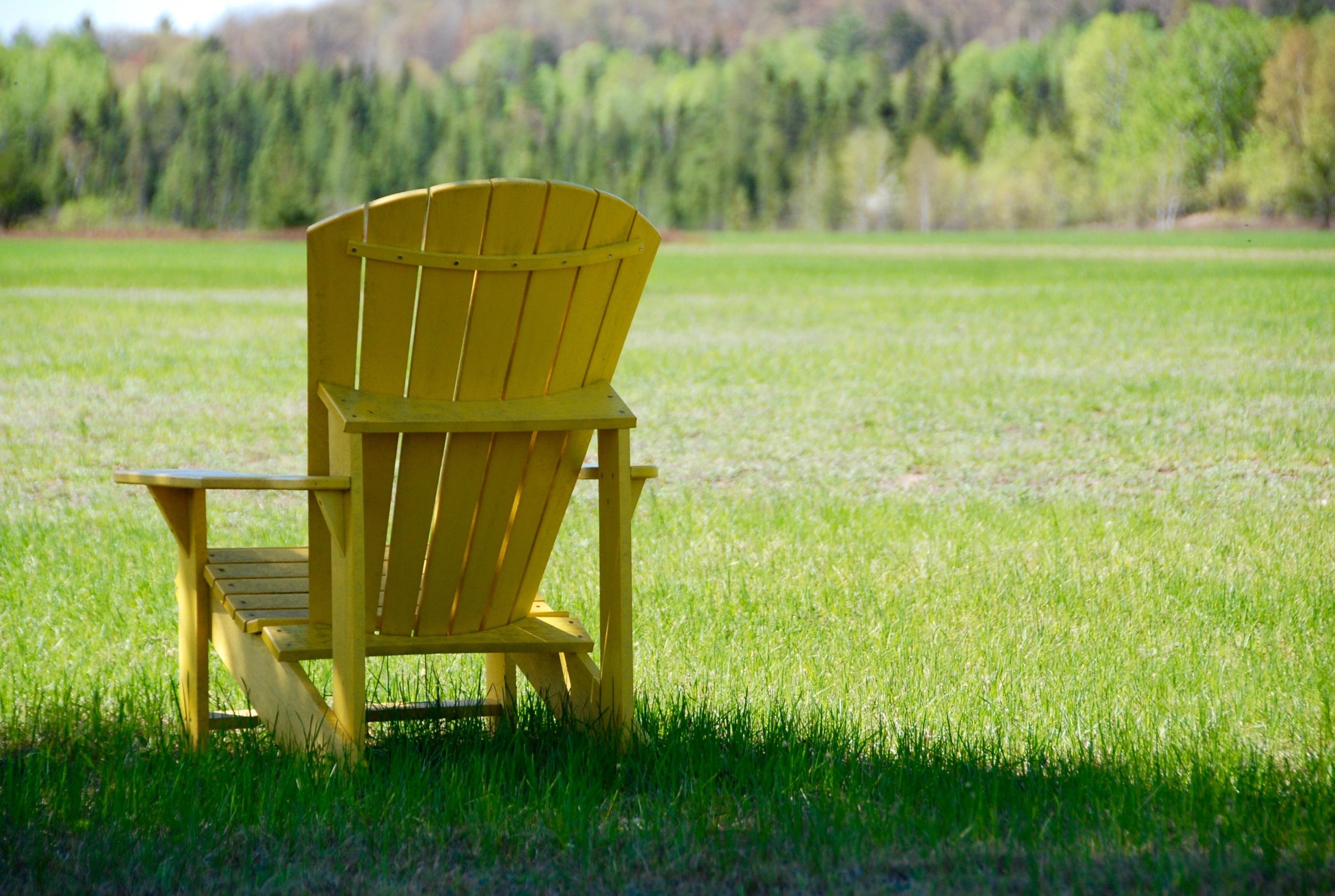 muskoka, seat, dom, environment, plant, lounge, 2K, silence, adirondack, tranquil, distance, scenic, solitude, north, stillness, green color, relaxation, HD Wallpaper