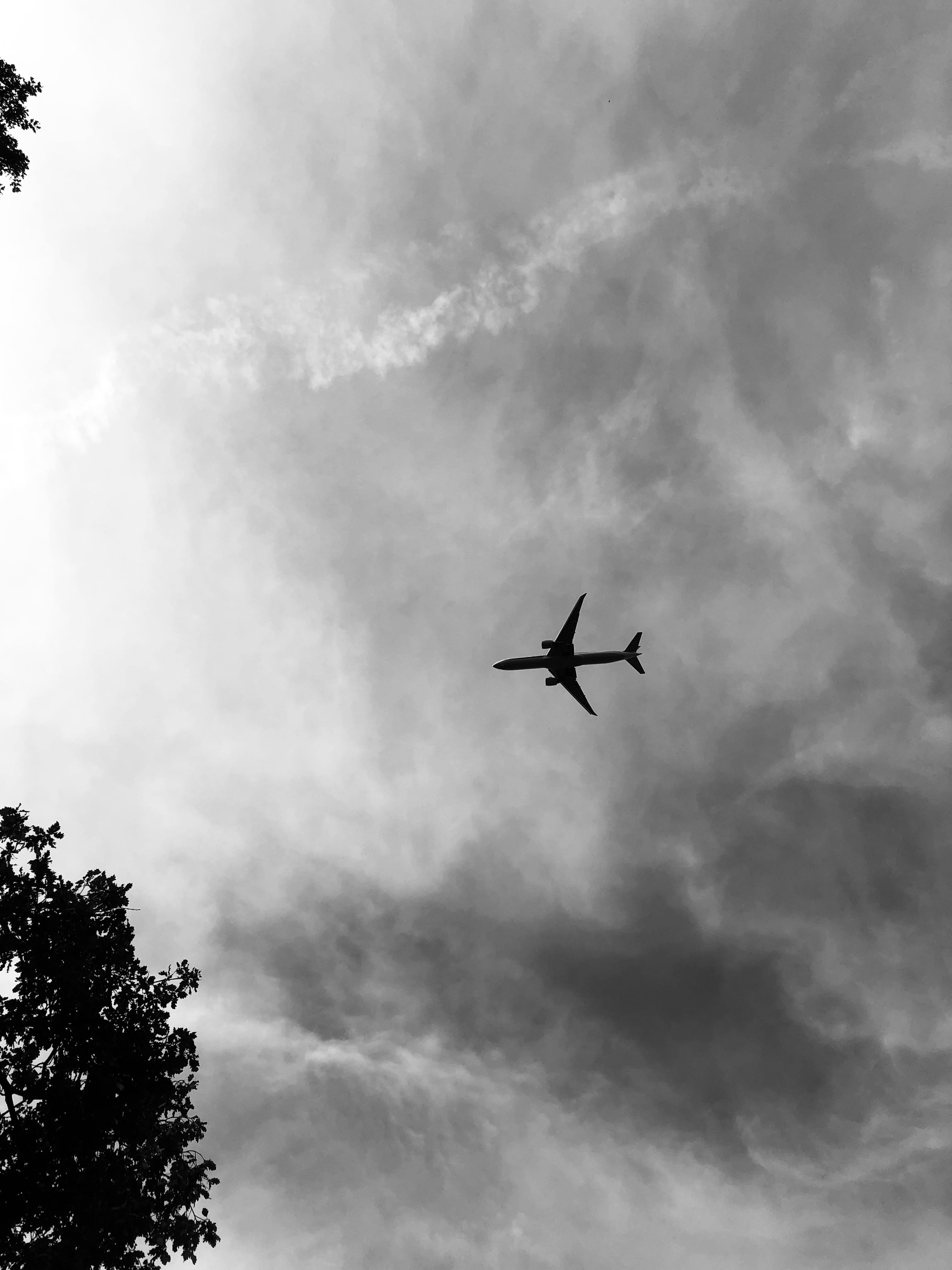 mid-air, no people, skyview, travel, city, nature, sky, airport, 4K, plane, airplane,, outdoors, day, directly below, silhouette, clear, Phone HD Wallpaper