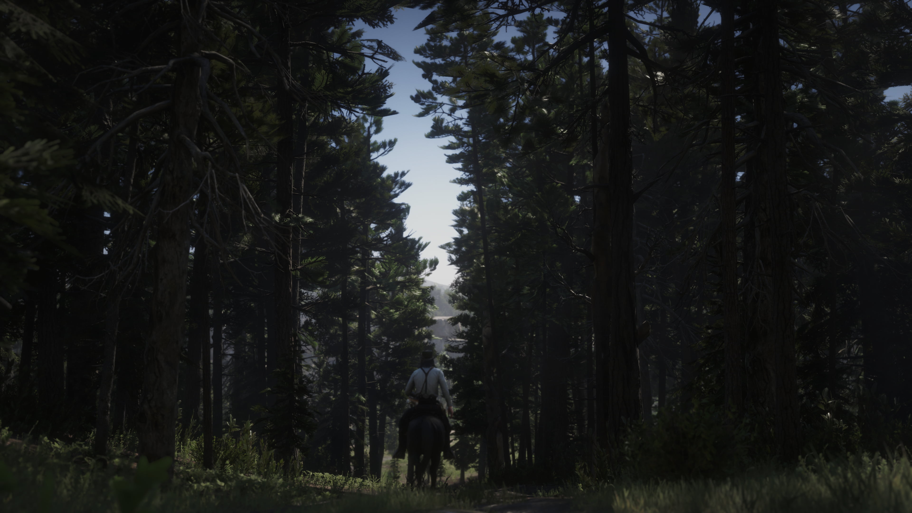 Rockstar Games, 4K, XboxOneX, Red Dead Redemption 2, HD Wallpaper