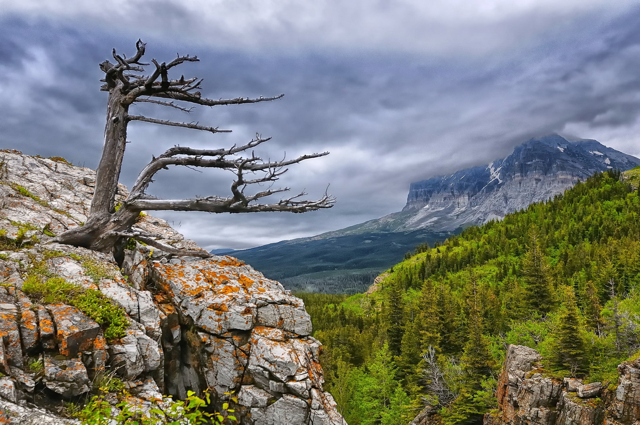 glacier, trees, 1080P, mountains, park, Glacier National Park, national, forest, HD Wallpaper