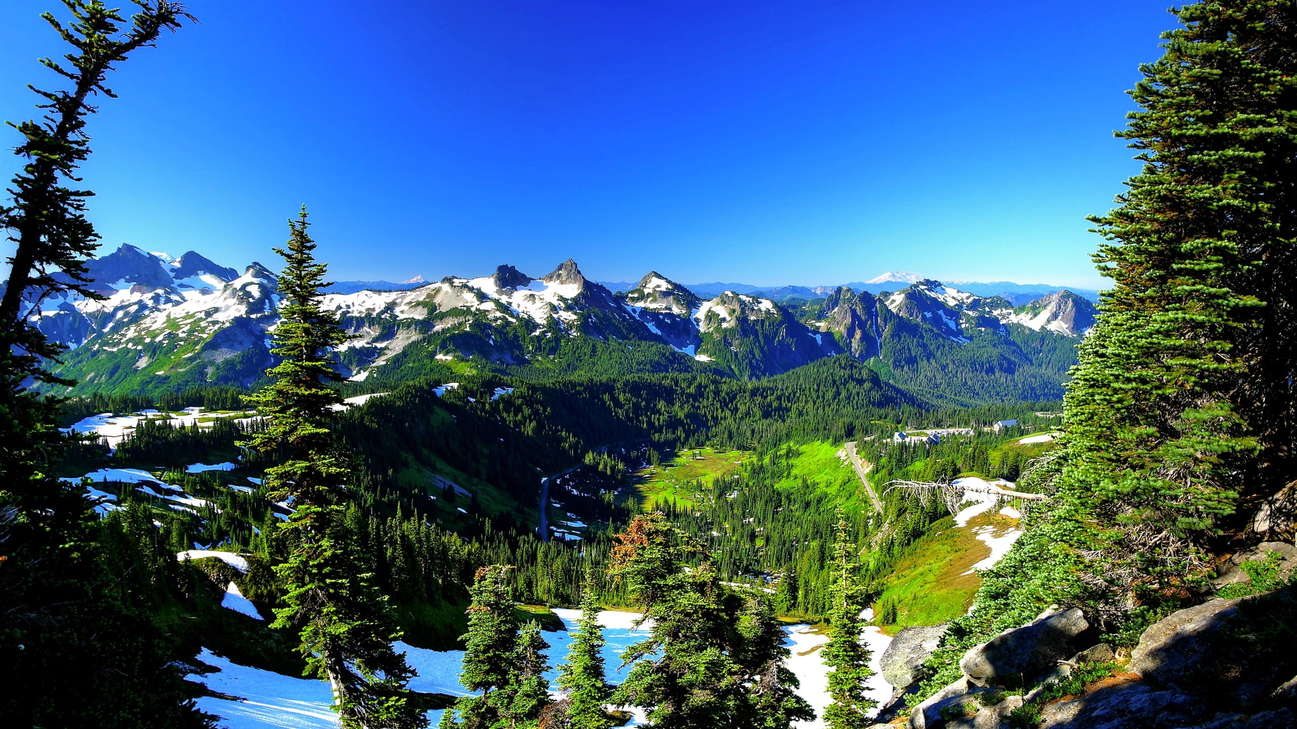 Mountains, Snow, Rainier, Spring, Trees, mount, USA, 2K, HD Wallpaper