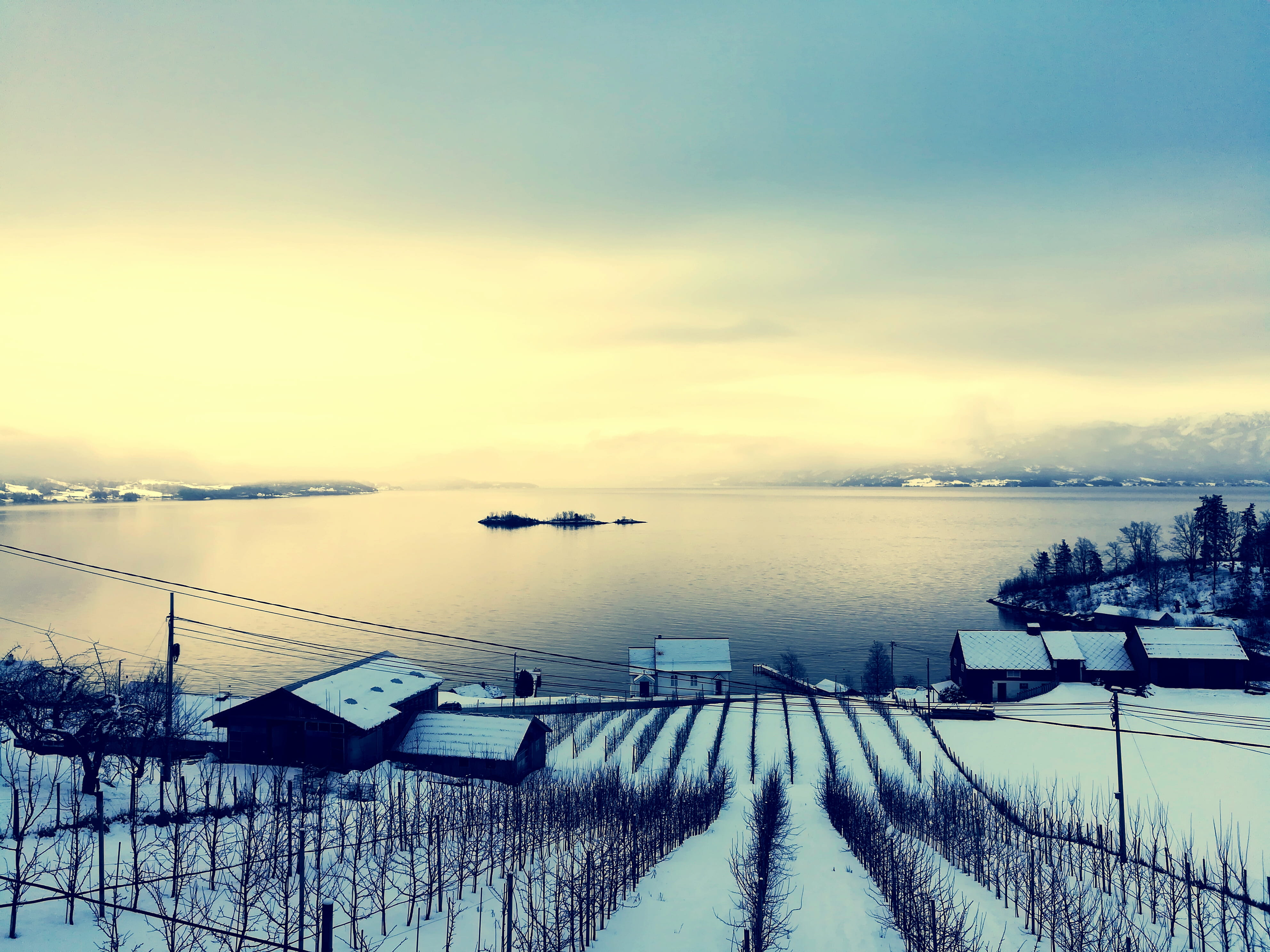 tranquil scene, cold temperature, plant, scenics - nature, photo, weather, winter, houses, outdoorchallenge, sky, beauty in nature, snow, outdoors, landscape, HD Wallpaper