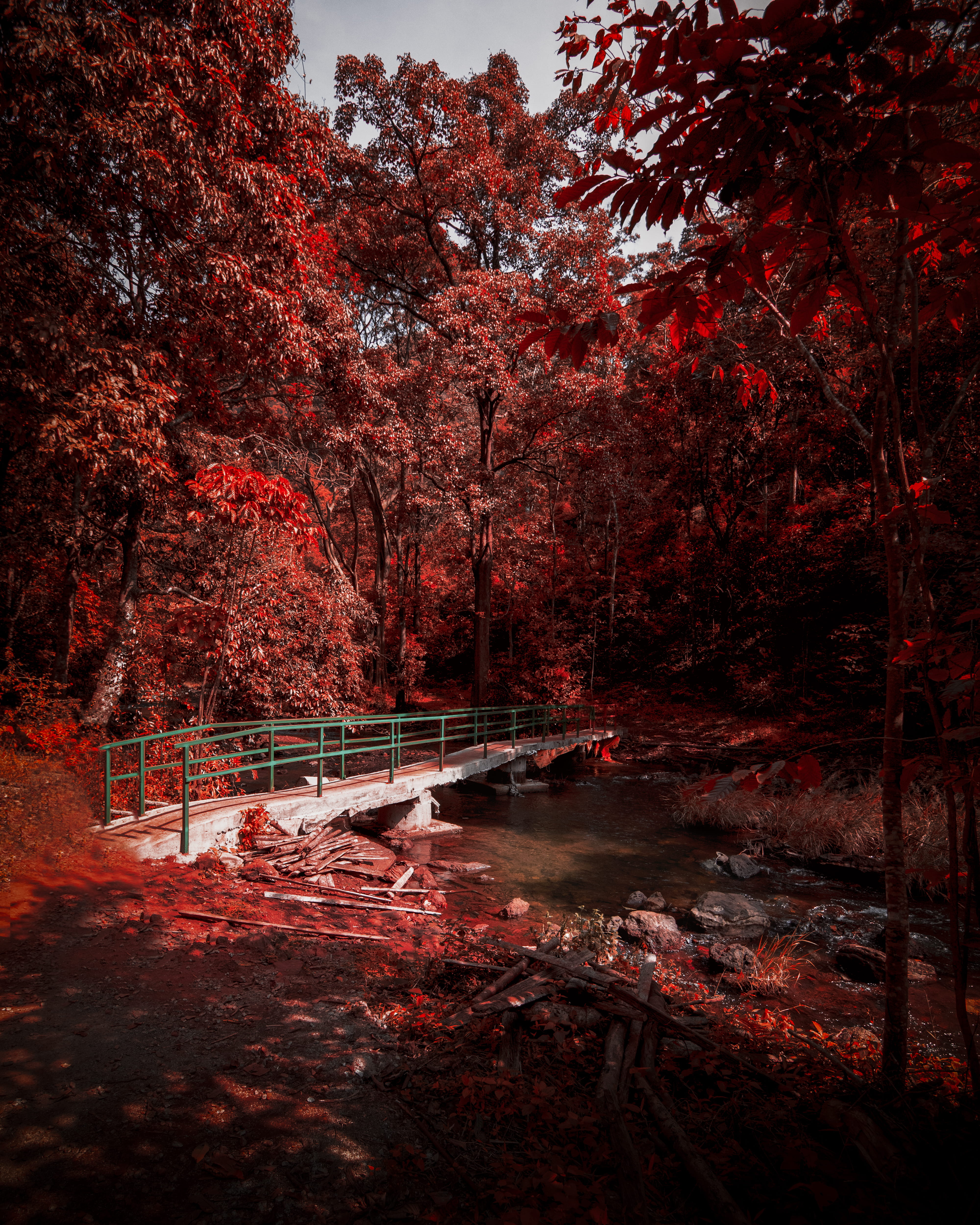 leafed, outdoorchallenge, absence, tranquil scene, day, park bench, 4K, park, outdoors, no people, bench, water, red, tree, autumn collection, bridge, Phone HD Wallpaper