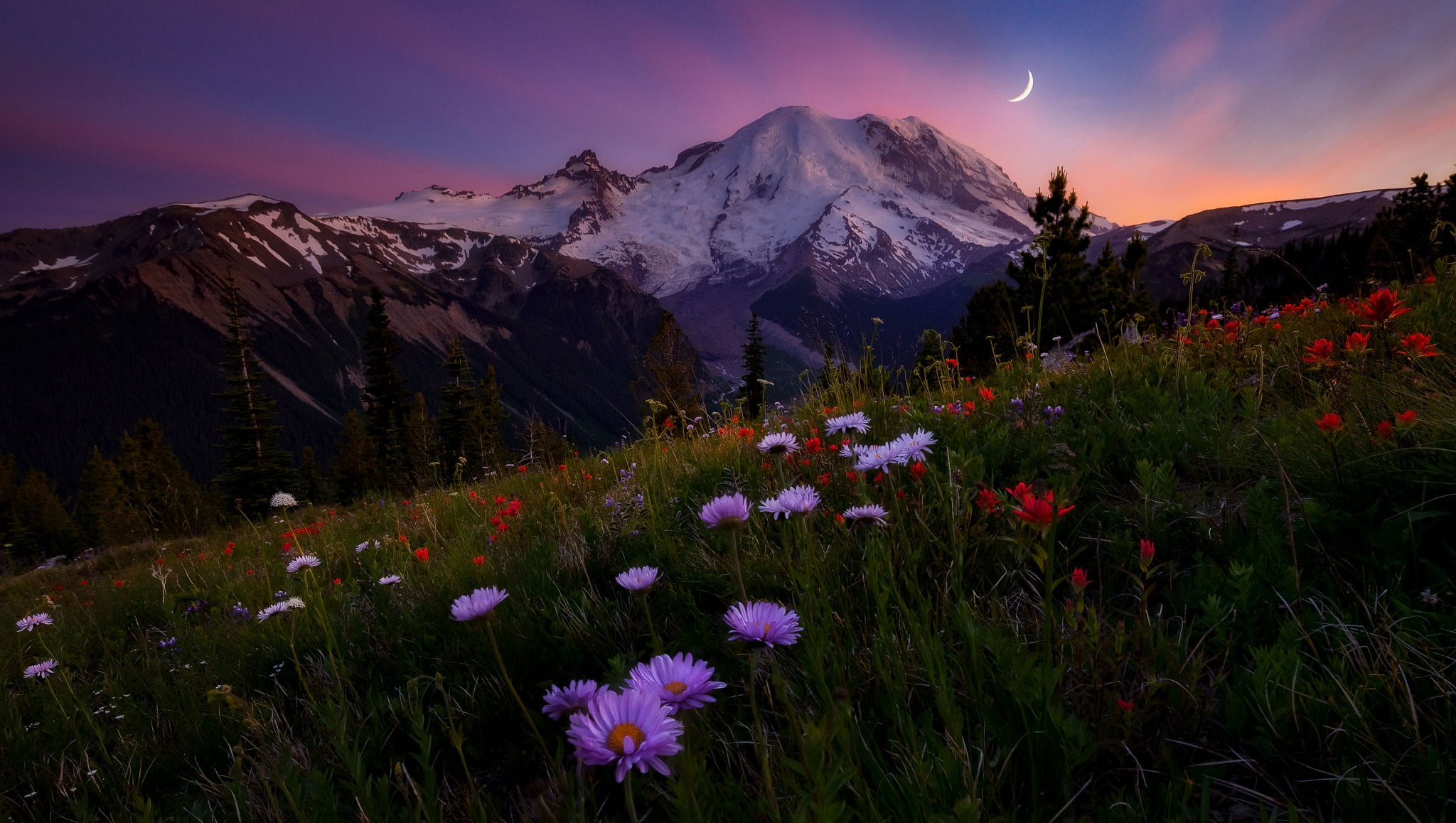 Doug Shearer, mountains, the sky, flowers, meadow, the evening, 1080P, mount Rainier, HD Wallpaper