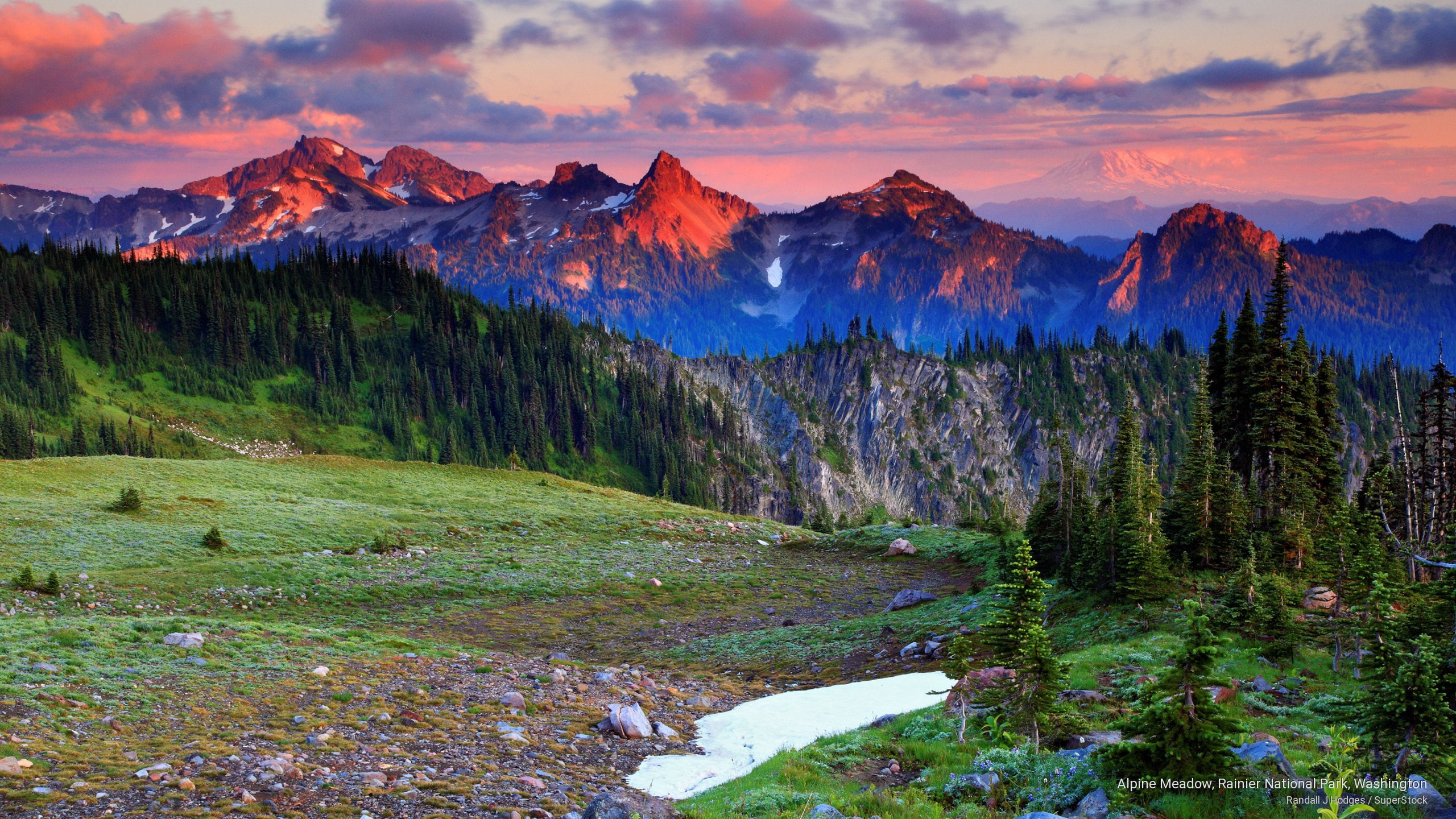 2K, park, rainier, national, washington, National Parks, meadow, alpine, HD Wallpaper