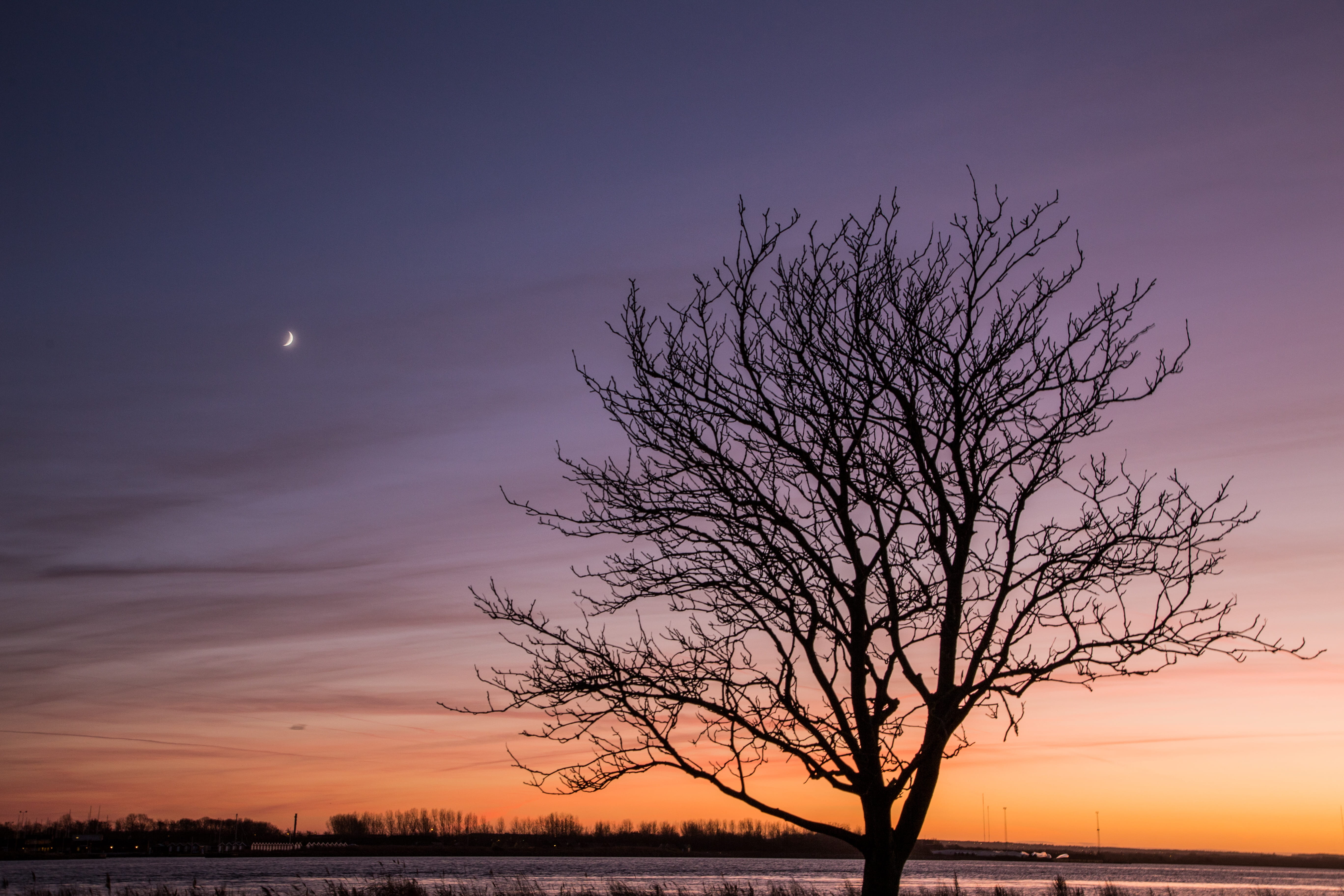 tree, dusk, aalborg, bare tree, silhouette, egholm, dinamarca, scenics - nature, moon, beauty in nature, horizon, tranquil scene, red sky, plant, sky, perfection, HD Wallpaper
