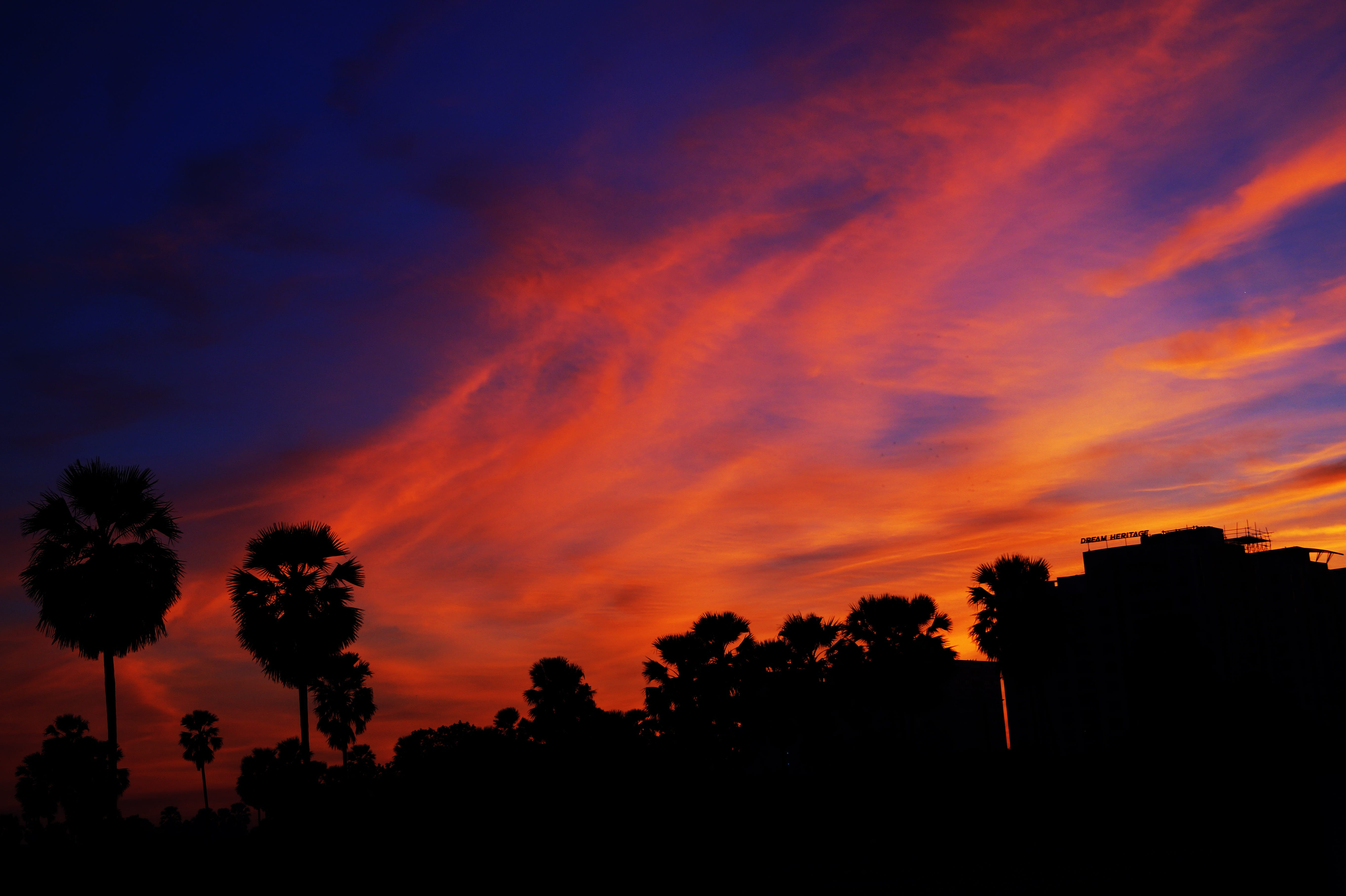 skyline, silhouette, trees, 5K, sky, scenics - nature, dusk, cloudporn, orange, outline, no people, countryside, dramatic sky, dark, skyporn, colors, landscape, HD Wallpaper