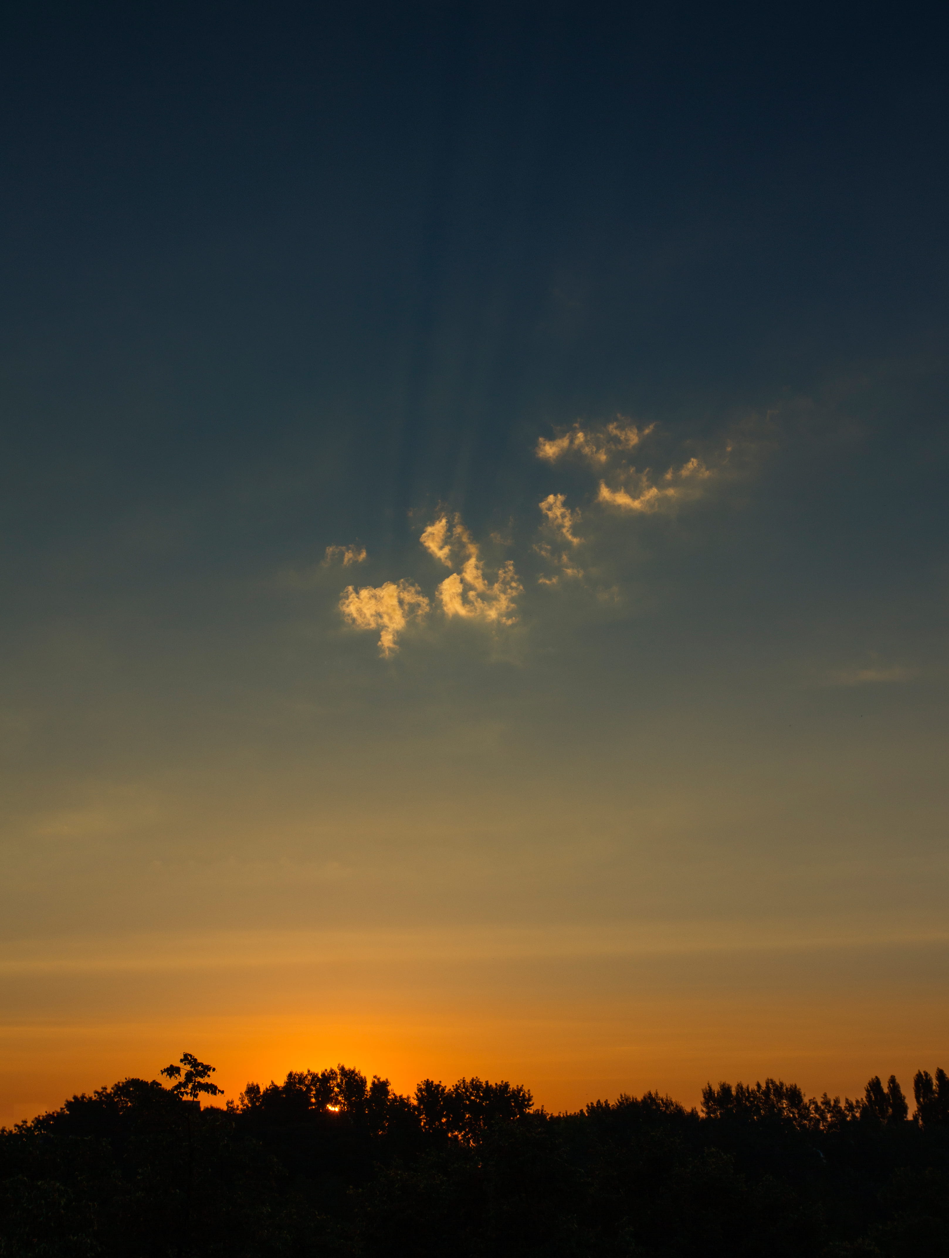 rays, zagreb, morning, idyllic, sun, 4K, no people, sky, weather, plant, tranquil scene, clouds, growth, environment, morning light, cloud - sky, croatia, Phone HD Wallpaper