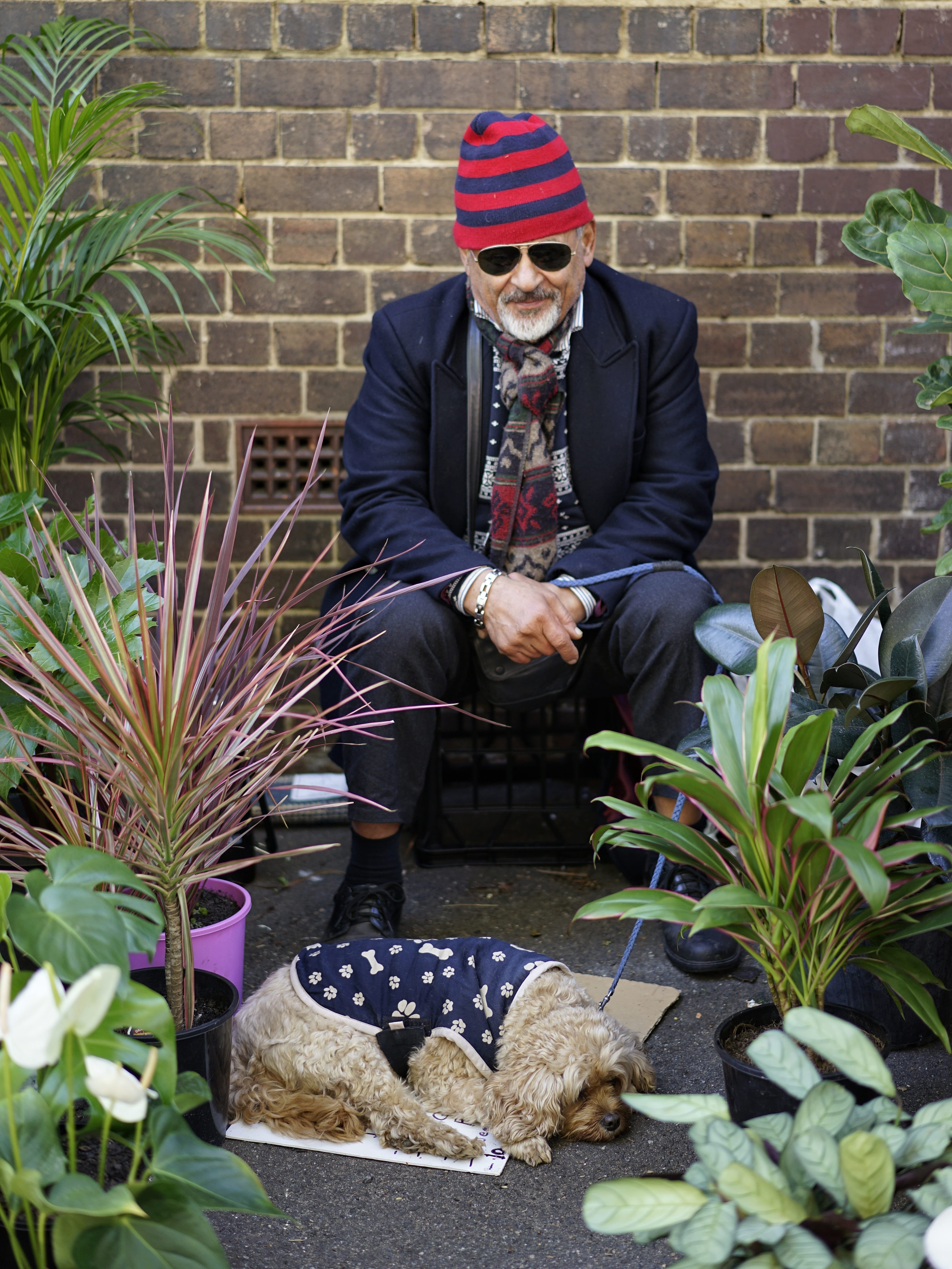 man, model, tired, front, well-dressed, sat, males, mature men, male, style, men, sitting, business, suit, garden, plant, brick wall, wall, young adult, Phone HD Wallpaper