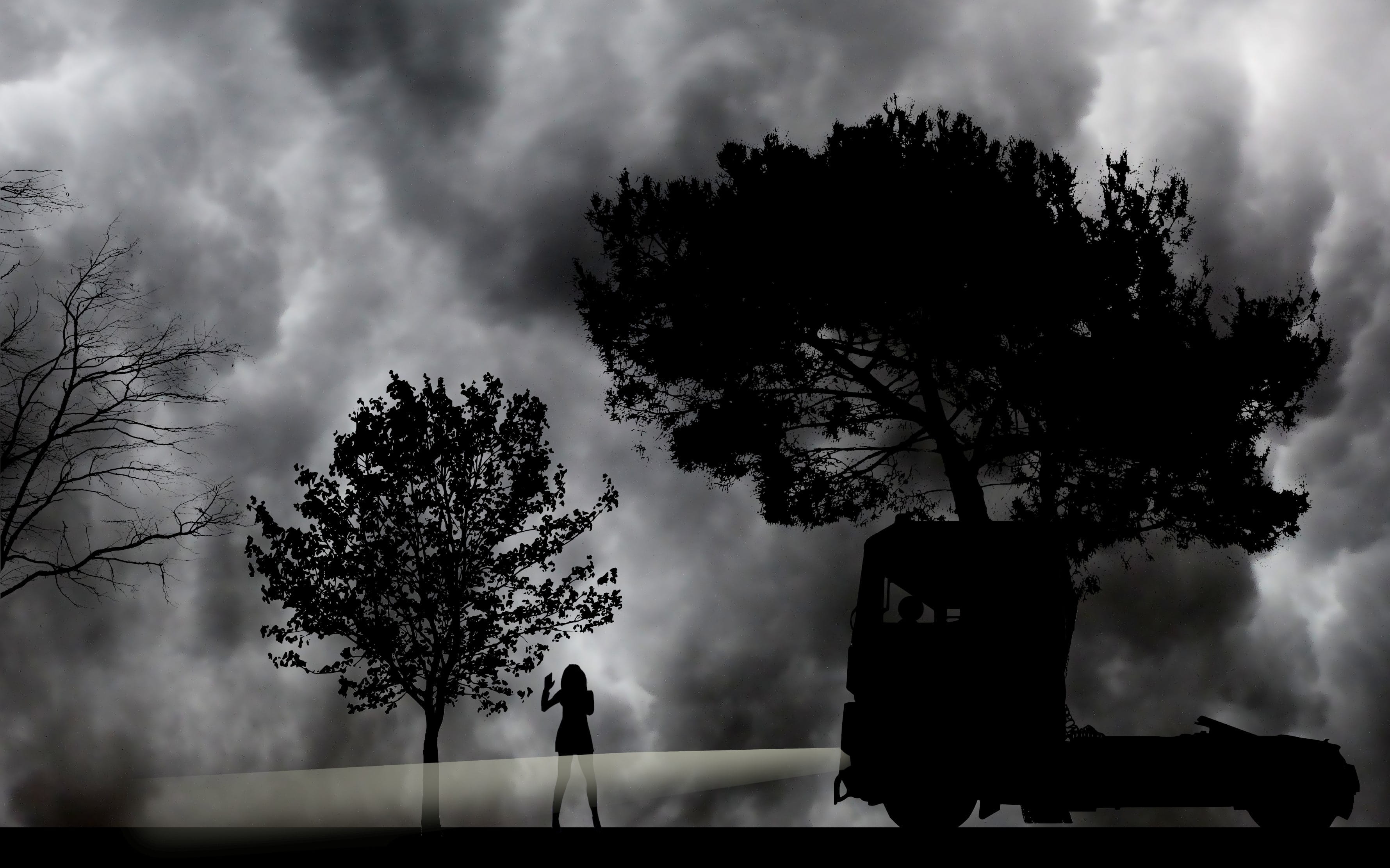 woman, tree, women, outdoors, two people, atmosphere, nature, leisure activity, growth, 2K, night, dark, light, stop, togetherness, standing, people, silhouette, HD Wallpaper