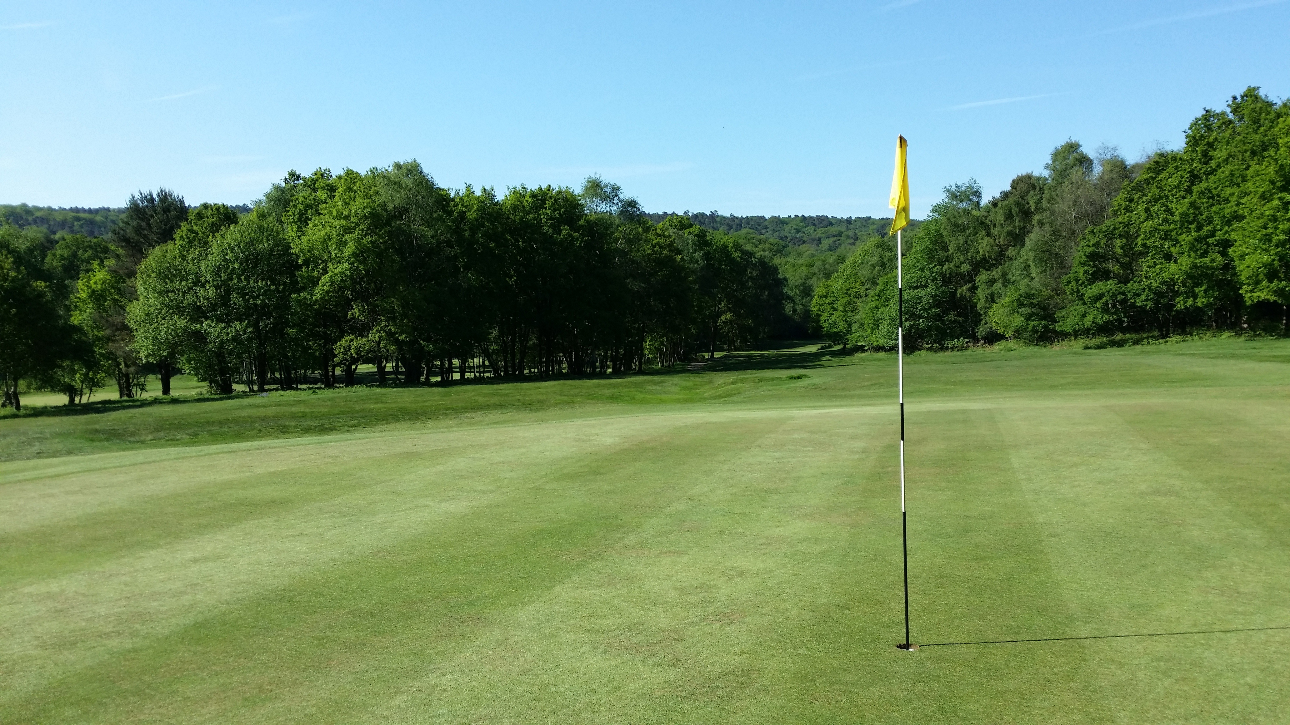 putting Green, golf Course, scenic, leisure activity, flag, view, golfer, green Color, golf, landscape, green - golf course, sport, golfing, tranquil scene, HD Wallpaper