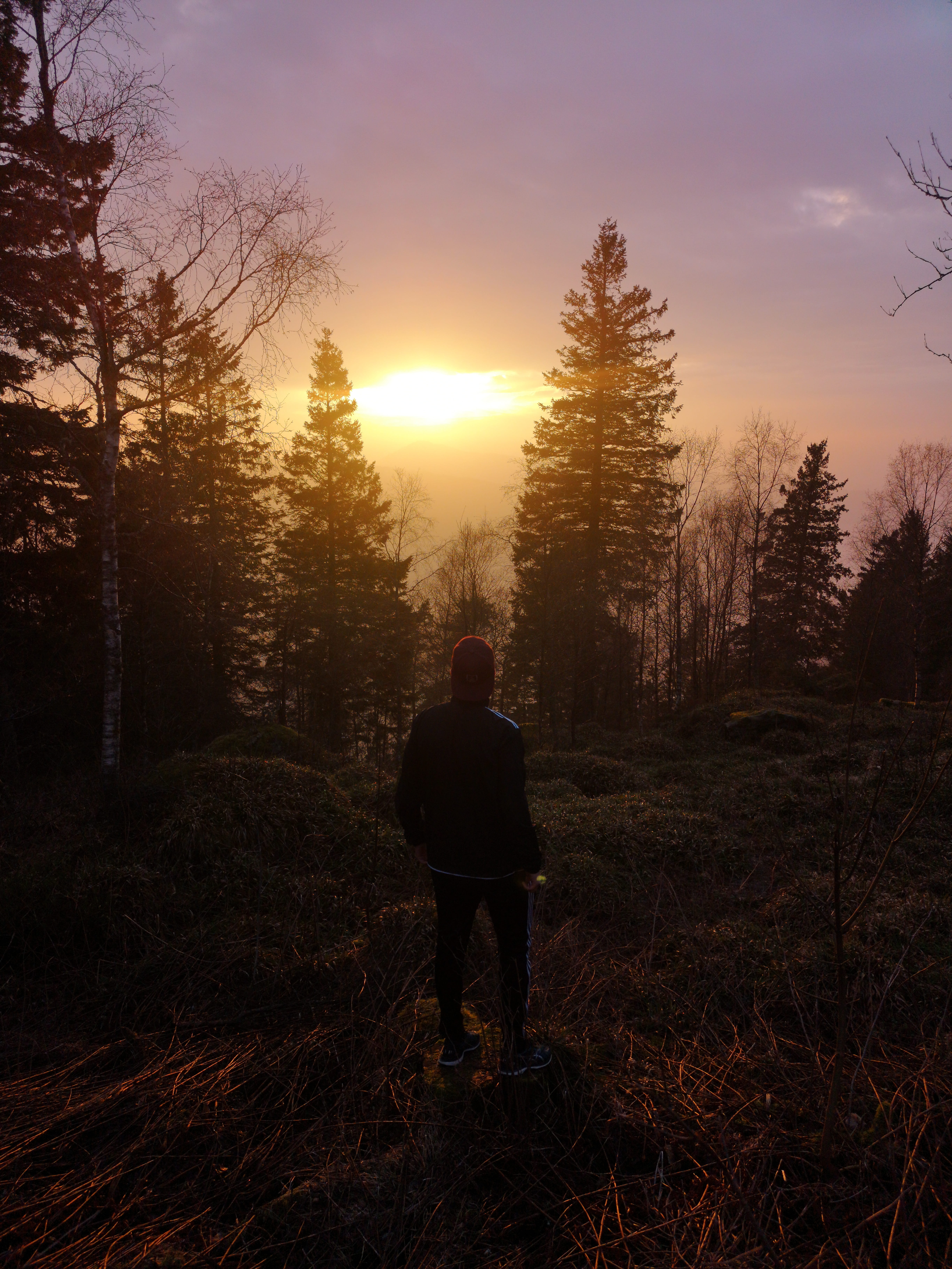 lifestyles, nature, sunset, outdoors, near, rear view, woods, real people, sky, beauty in nature, person, tranquility, forest, tranquil scene, man, golden hour, Phone HD Wallpaper