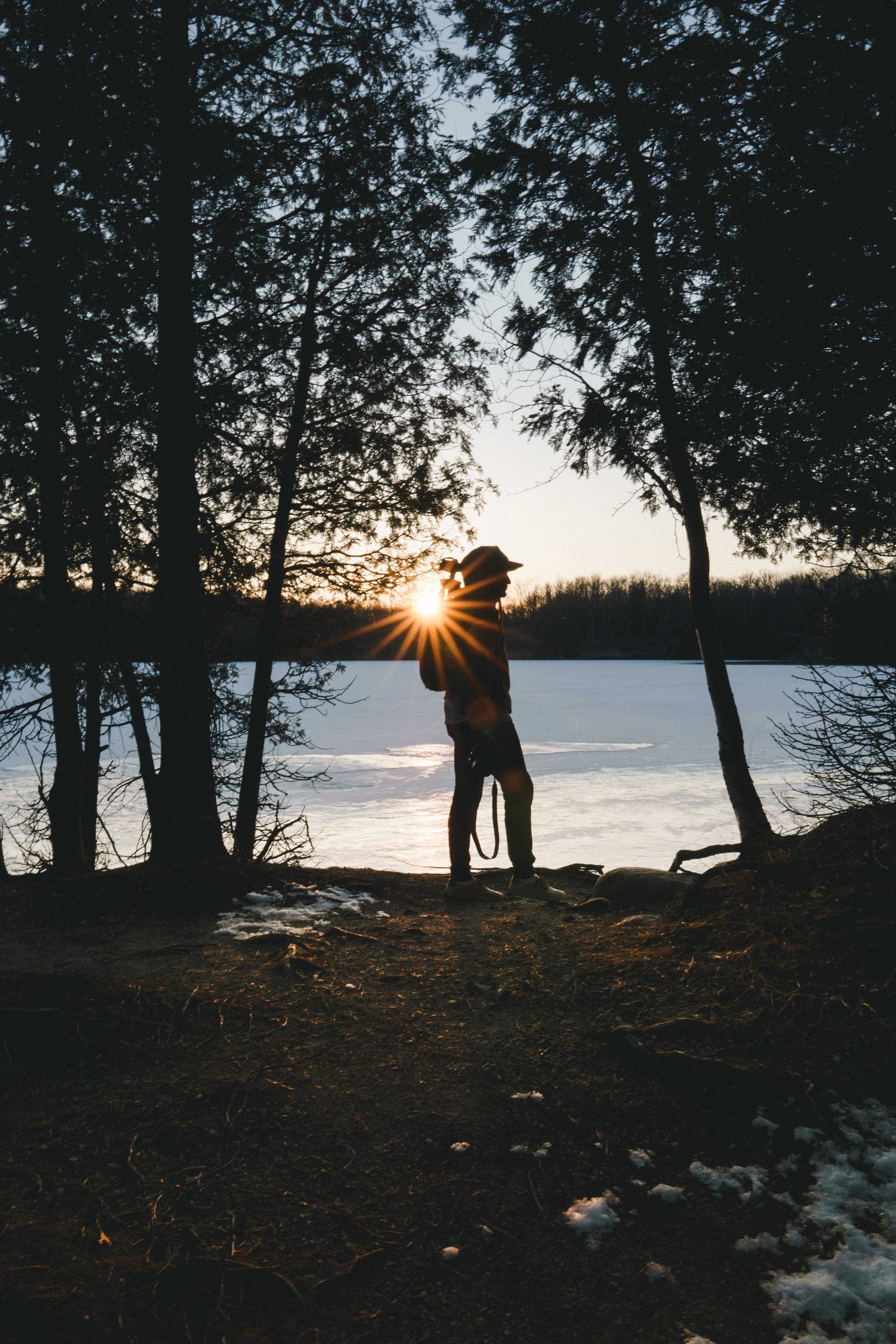 scenics - nature, real people, tree, trees, man, silhouette, glare, background, full length, nature, sky, sunset, forest, hour, land, lens flare, person, Phone HD Wallpaper