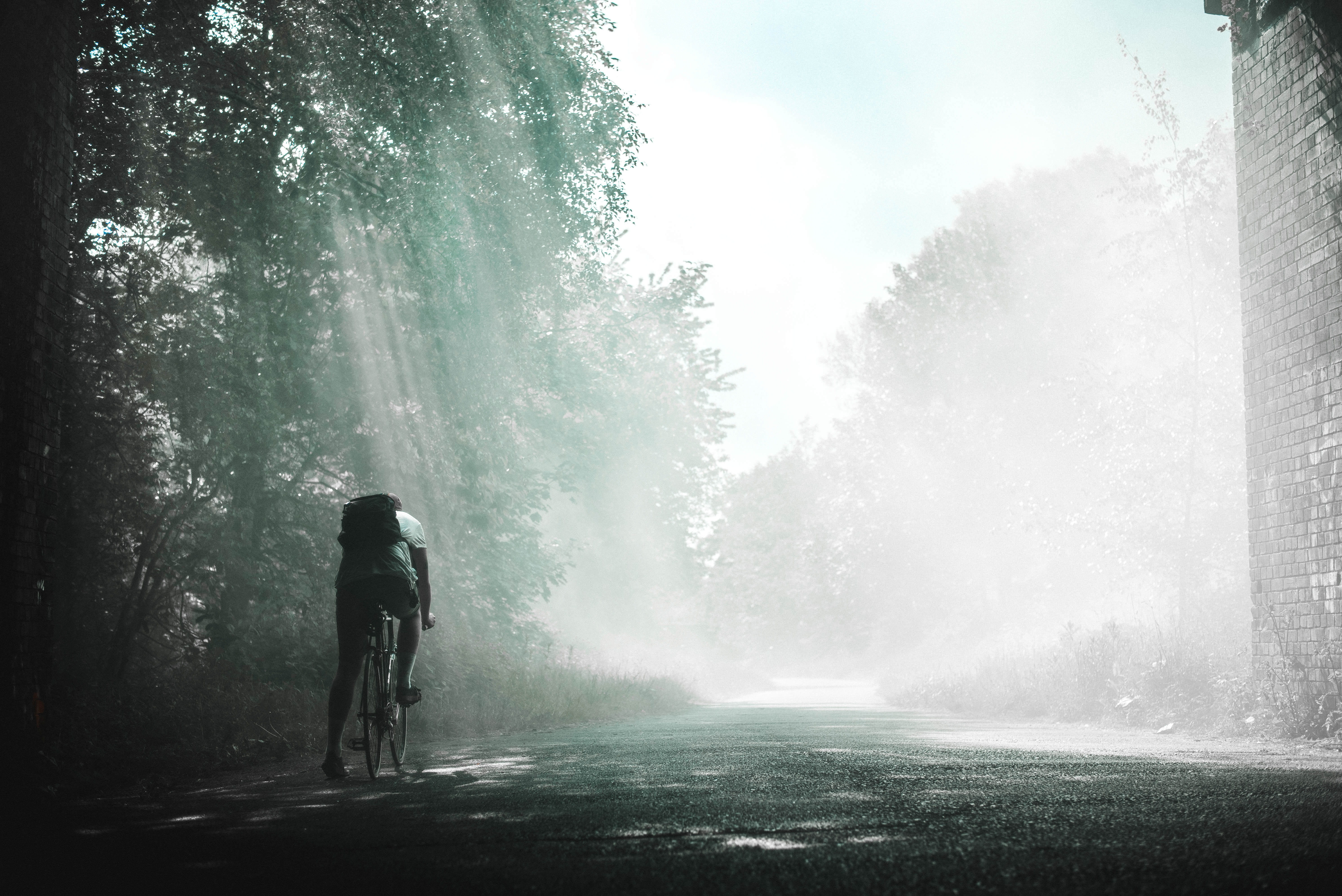 cycling, sport, biking, sun, one person, nature, rear view, fog, leisure activity, activity, road, trees, people, wet, black and white, near, rays, guy, HD Wallpaper