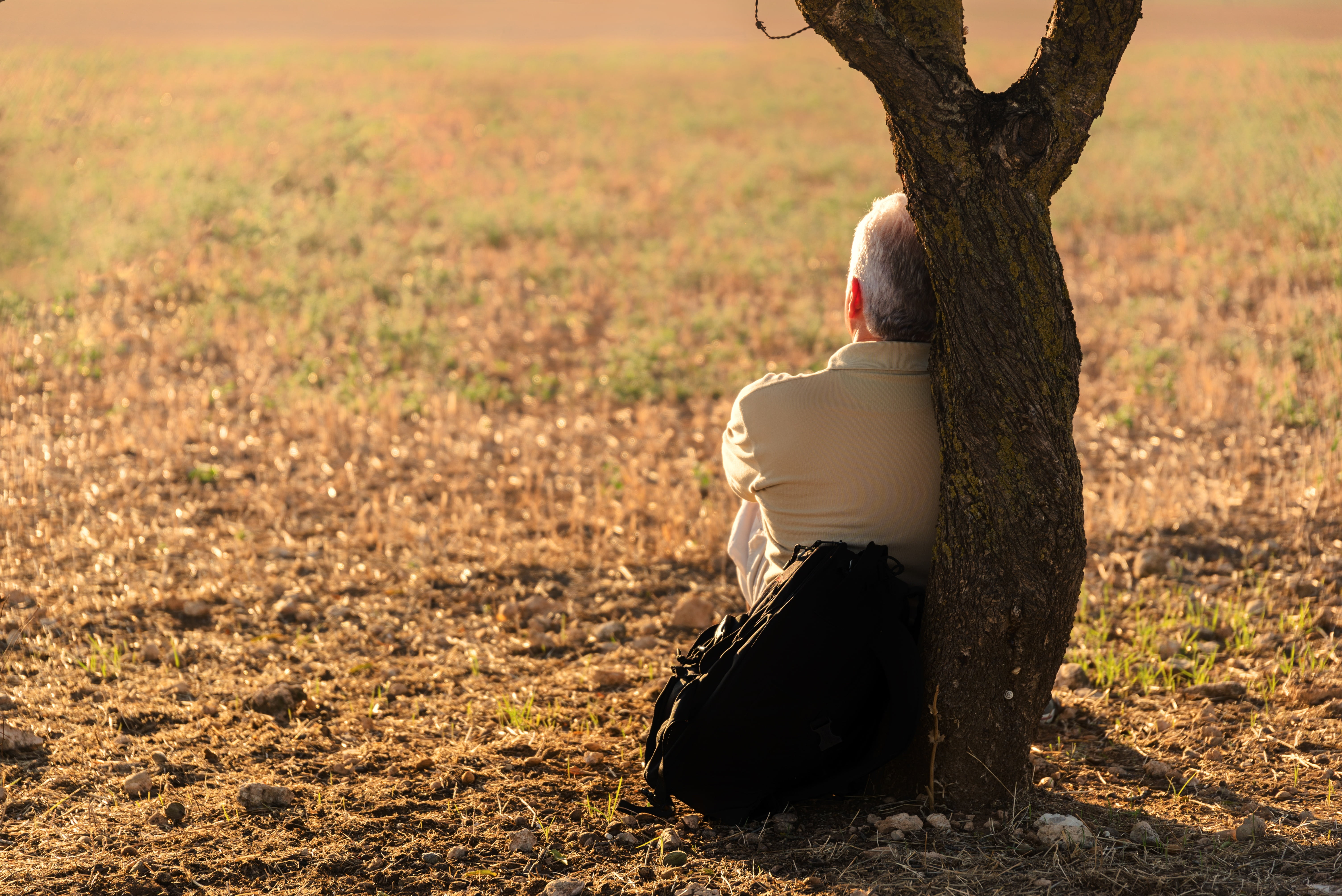 human body part, sunlight, rear view, field, day, clothing, one person, trunk, tree, sun, soledad, standing, afternoon, nature, hairstyle, human hand, silhouettes, HD Wallpaper