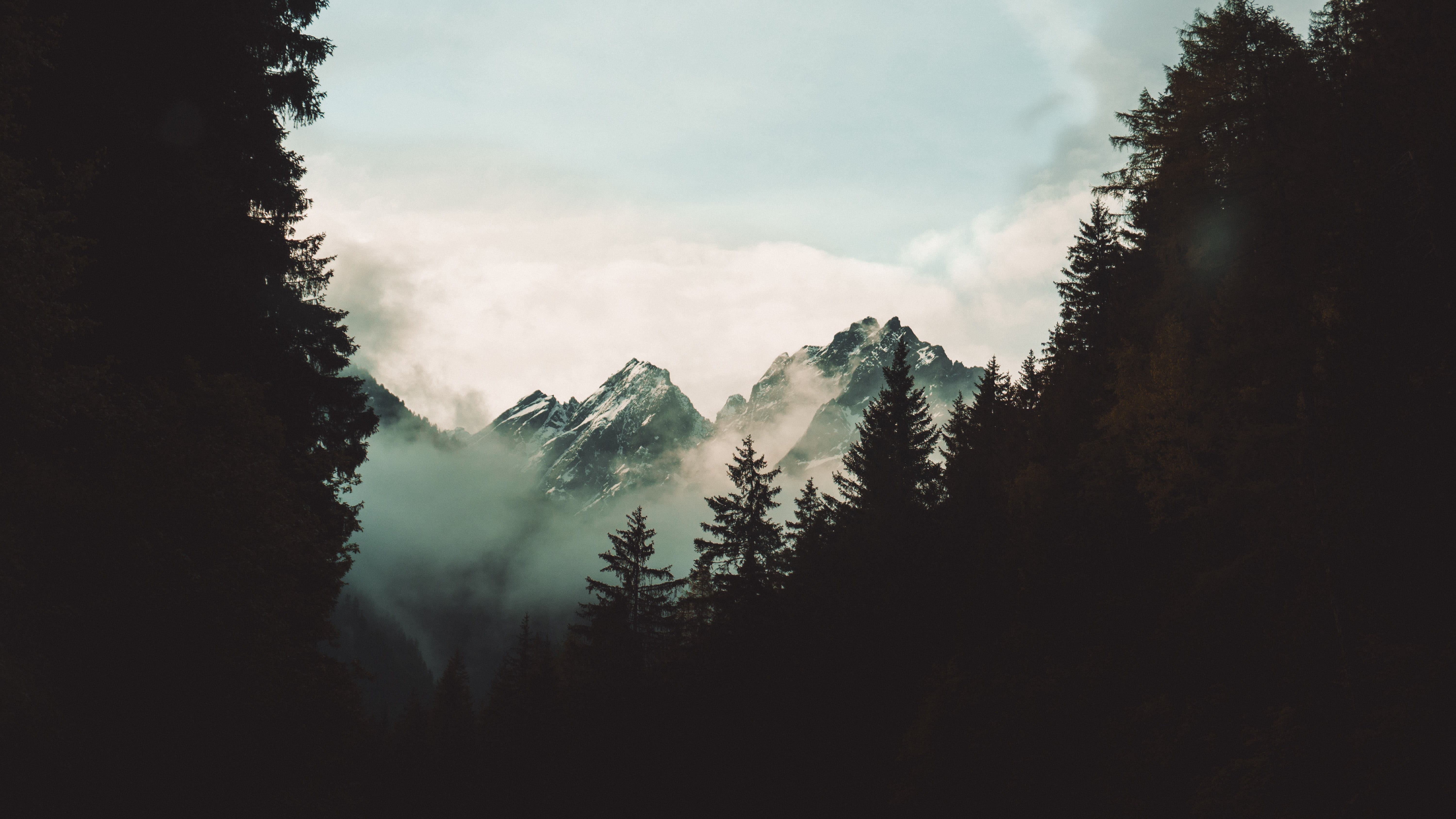 snowcapped mountain, trees, cloud, morning, 5K, snow, kaunertal, environment, nature, fog, clouds, tree, mountain range, pine tree, sea, scenics - nature, HD Wallpaper