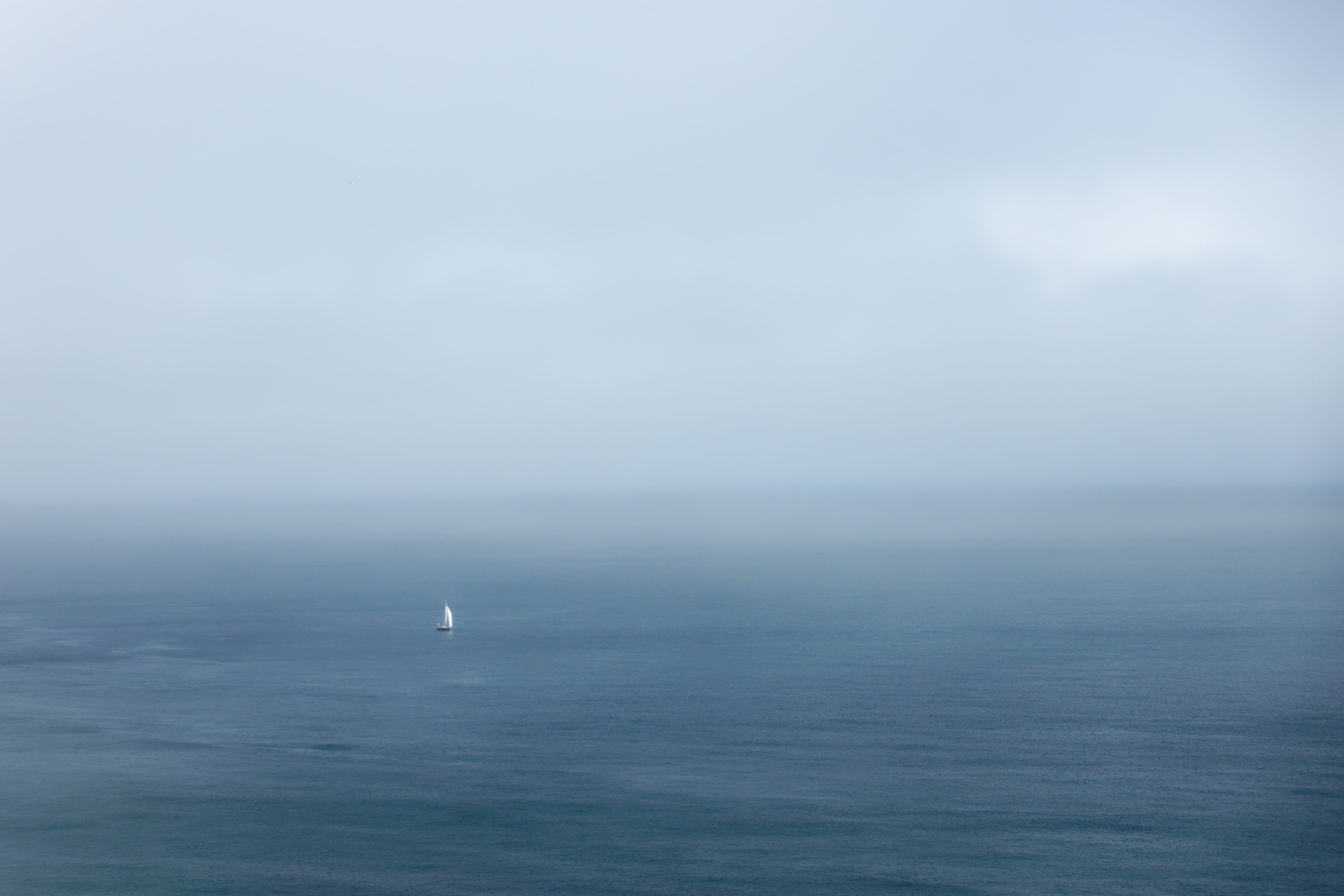 sea, tranquil scene, mist, travel, sail, day, ocean, blue, empty, no people, far, coast, cloud - sky, normandy, transport, one animal, boat, animal wildlife, HD Wallpaper