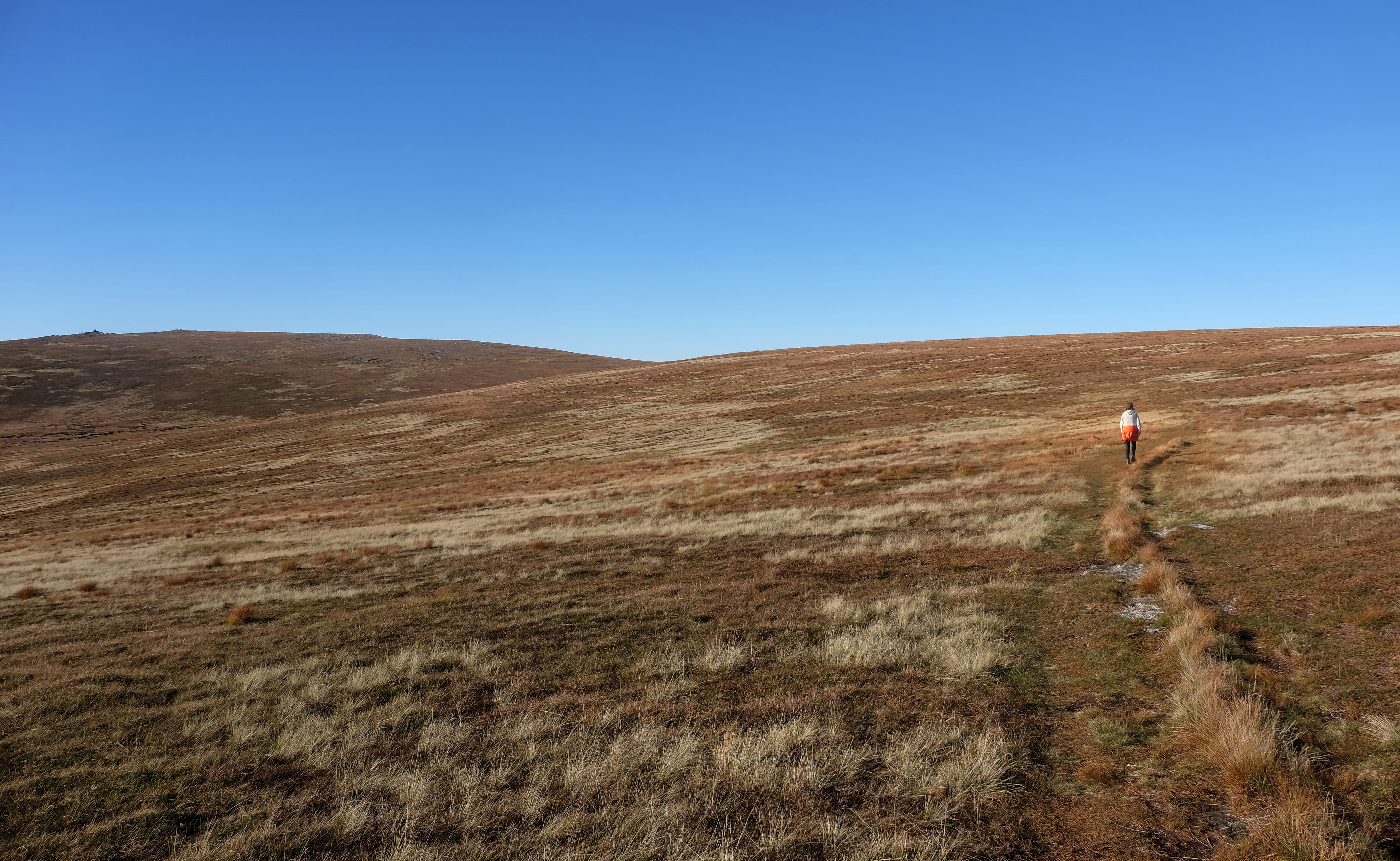 path, brown, norway, one person, traveller, pathway, field, outdoors, leisure activity, beige, land, environment, non-urban scene, nature, trip, top, plant, HD Wallpaper