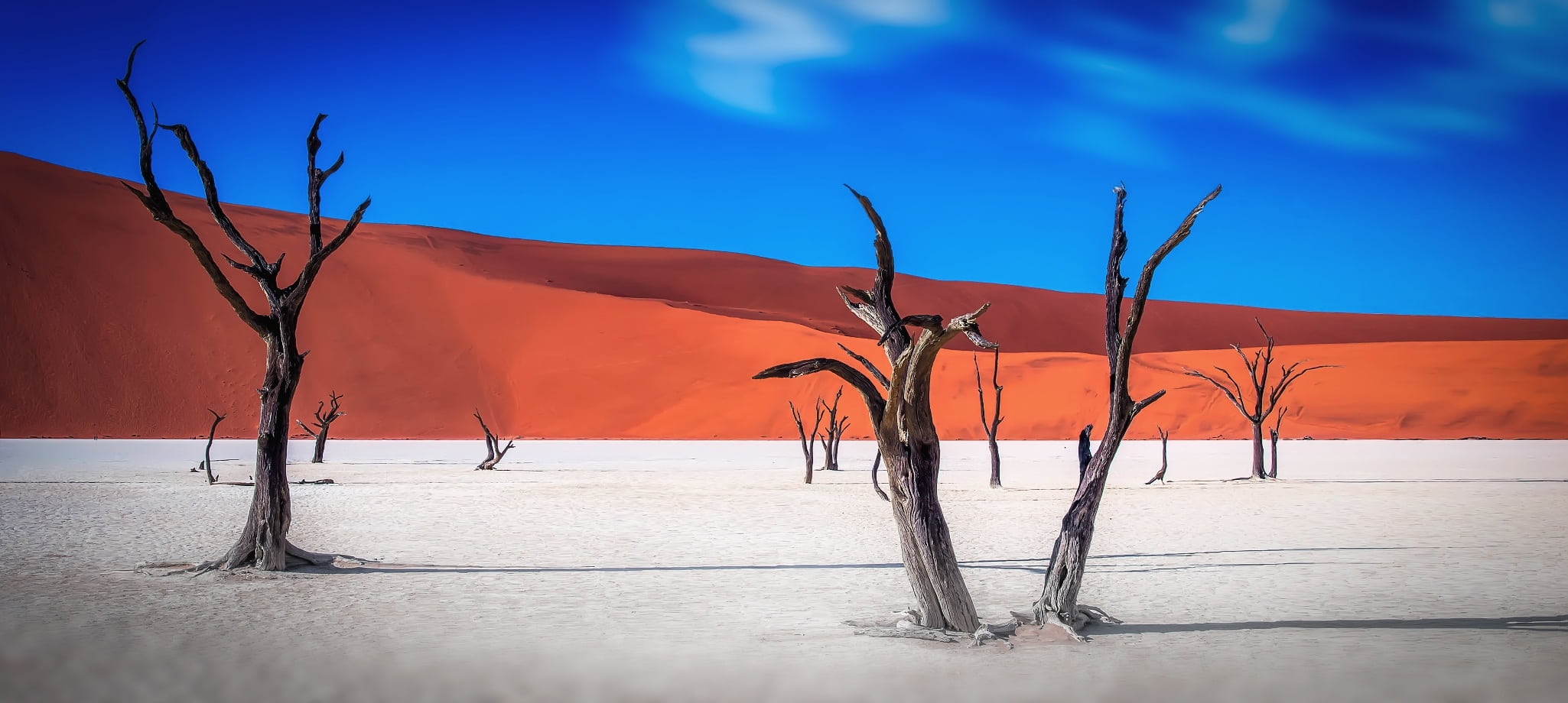 bare tree, scenics - nature, blue, wilderness, sand, tree, trees, plant, forest fire, mountain, beauty in nature, orange, dead plant, the dunes, landscape, HD Wallpaper