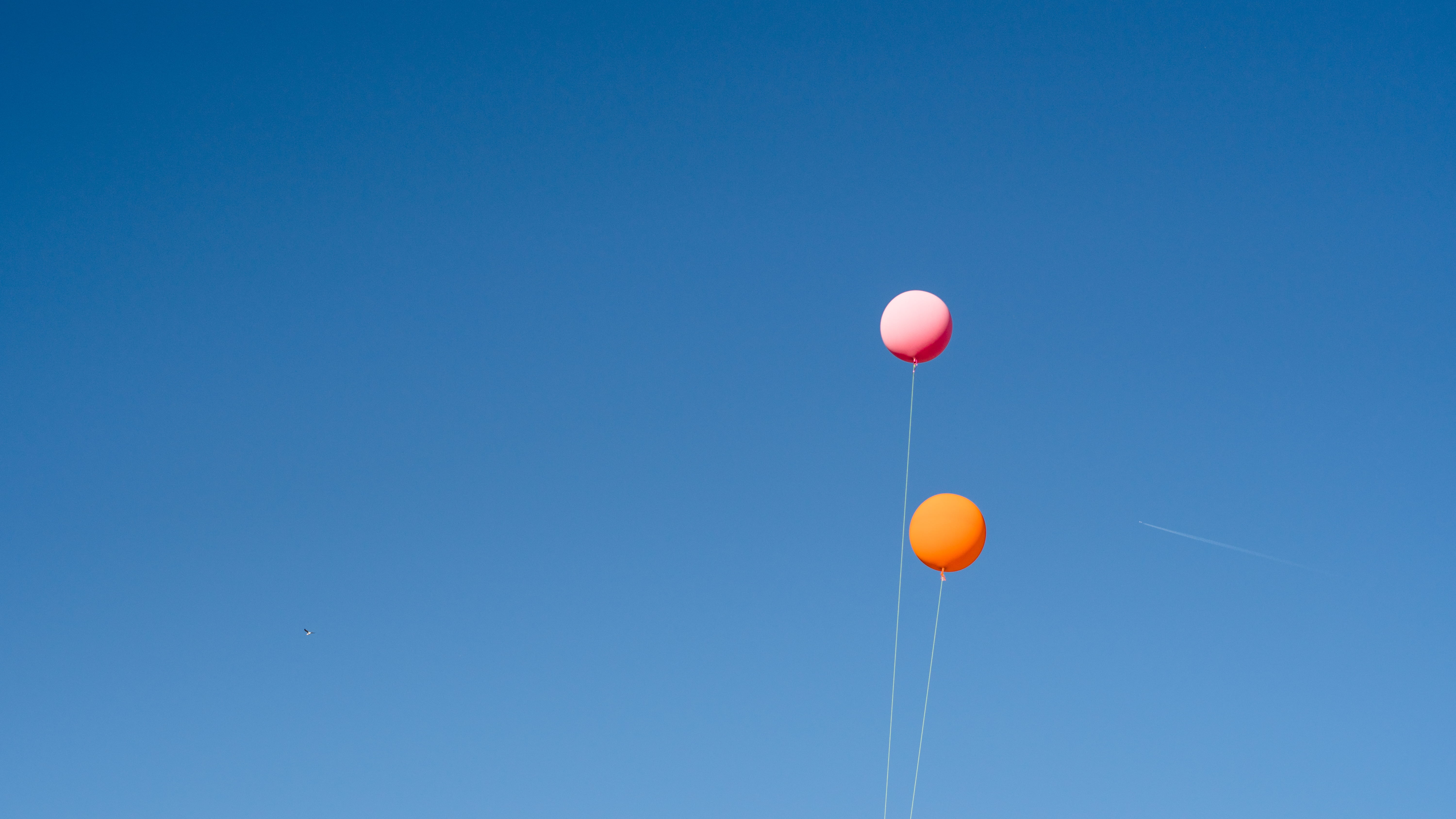 blue, orange balloon, vast, group of objects, balloon, message, helium, nature, two, bluesky, pink, 5K, sunny, clear blue sky, jet trail, flying, orange, HD Wallpaper