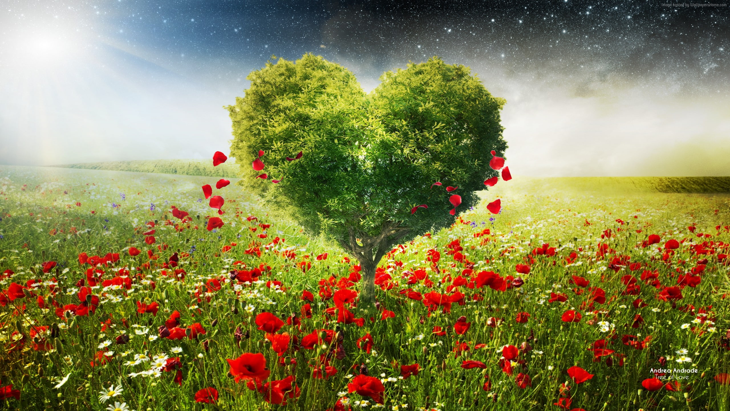 love image, 2K, tree, HD, heart, HD Wallpaper