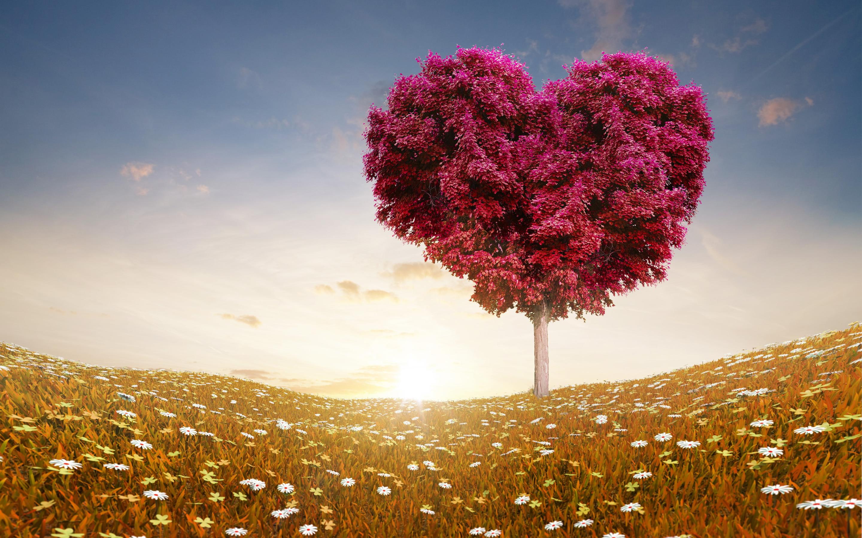 2K, shape, heart, love, fields, tree, leaves, pink, HD Wallpaper