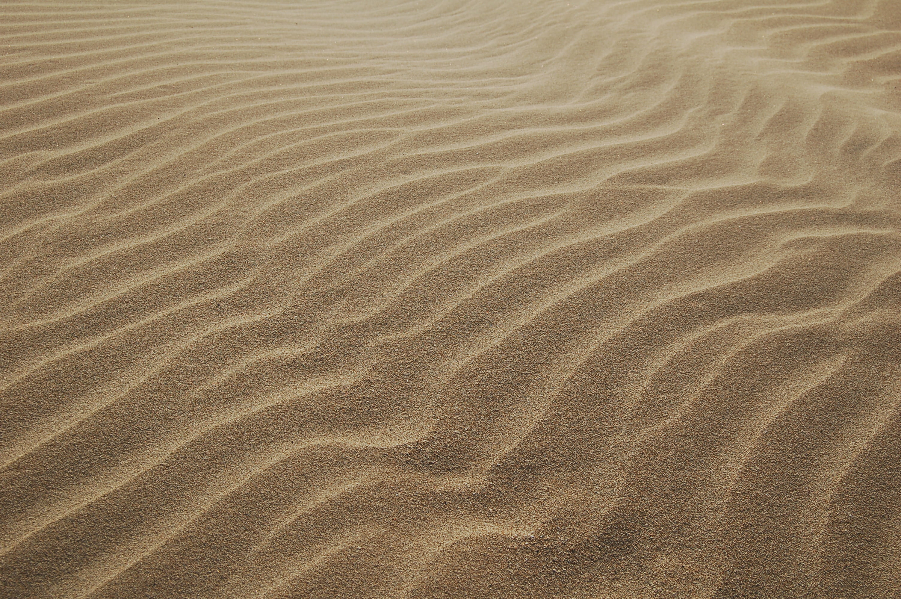 land, backgrounds, dry, desert, dunes, arid climate, textured, 2K, no People, full frame, scenics - nature, sand Dune, texture, nature, summer, wave Pattern, HD Wallpaper