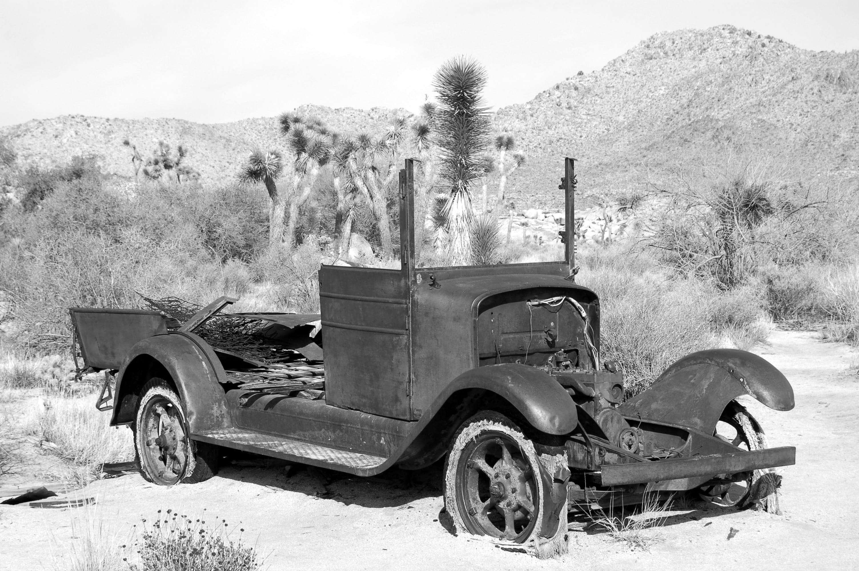 auto, field, b and w, black and white, rust, land vehicle, obsolete, plant, architecture, truck, abandoned, joshua tree national park, automobile, parking, HD Wallpaper