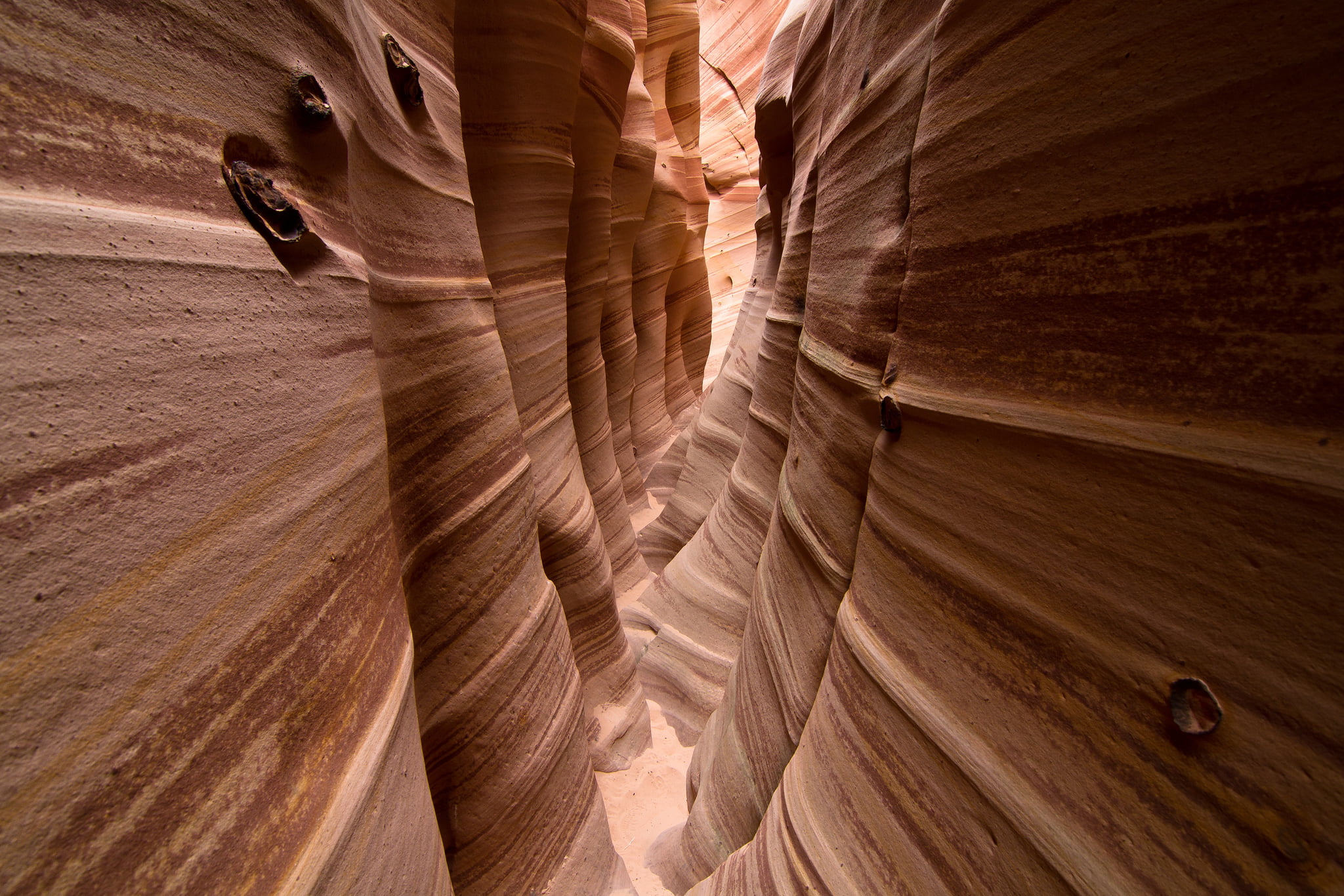 USA, rock - object, climate, geology, textured, nature, eroded, physical geography, tranquility, travel destinations, Canyon Zebra, canyon, day, no people, HD Wallpaper