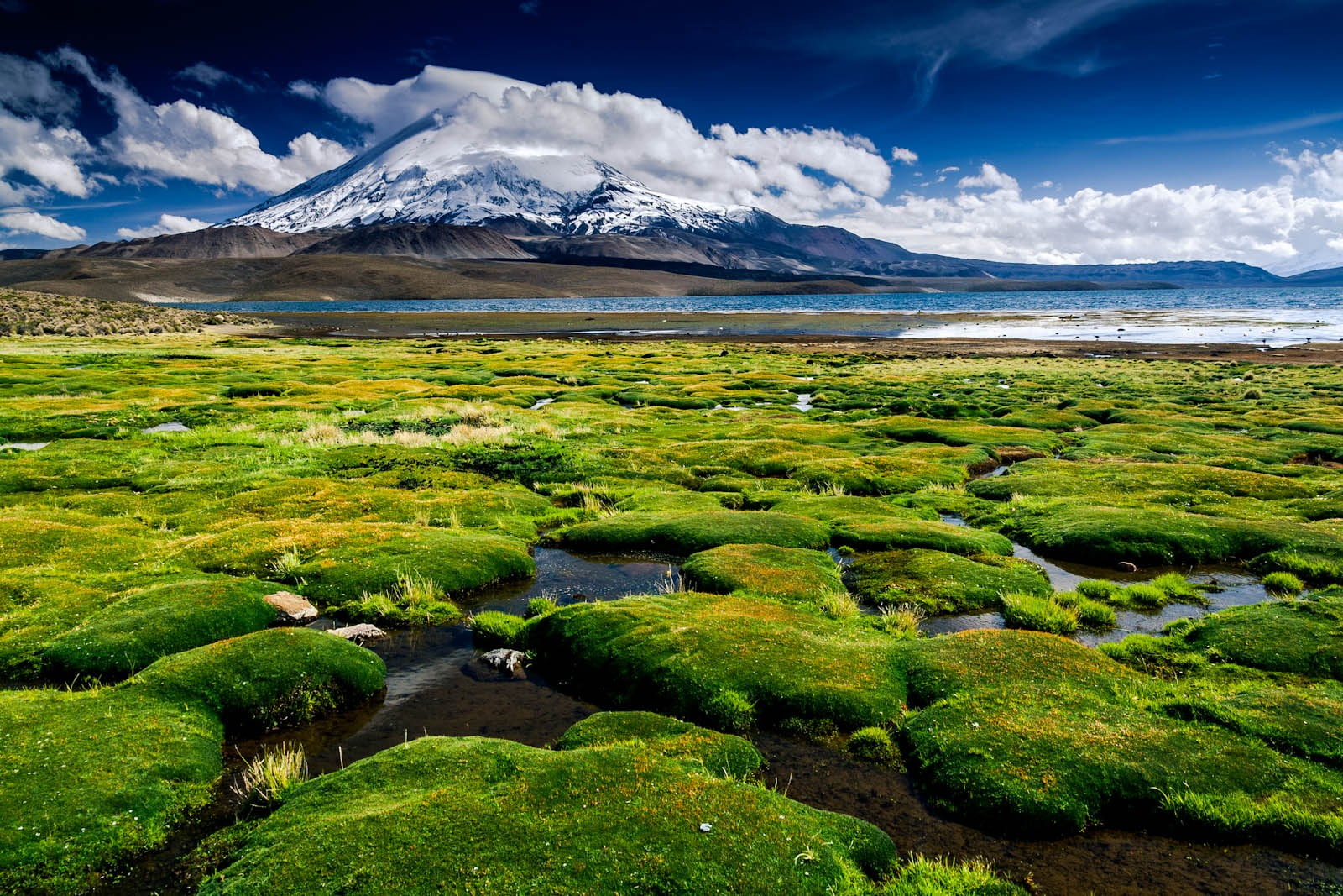 cloud - sky, environment, green, beauty in nature, moss, outdoors, plant, sky, green color, snowy peak, scenics - nature, blue, mountains, no people, landscape, HD Wallpaper