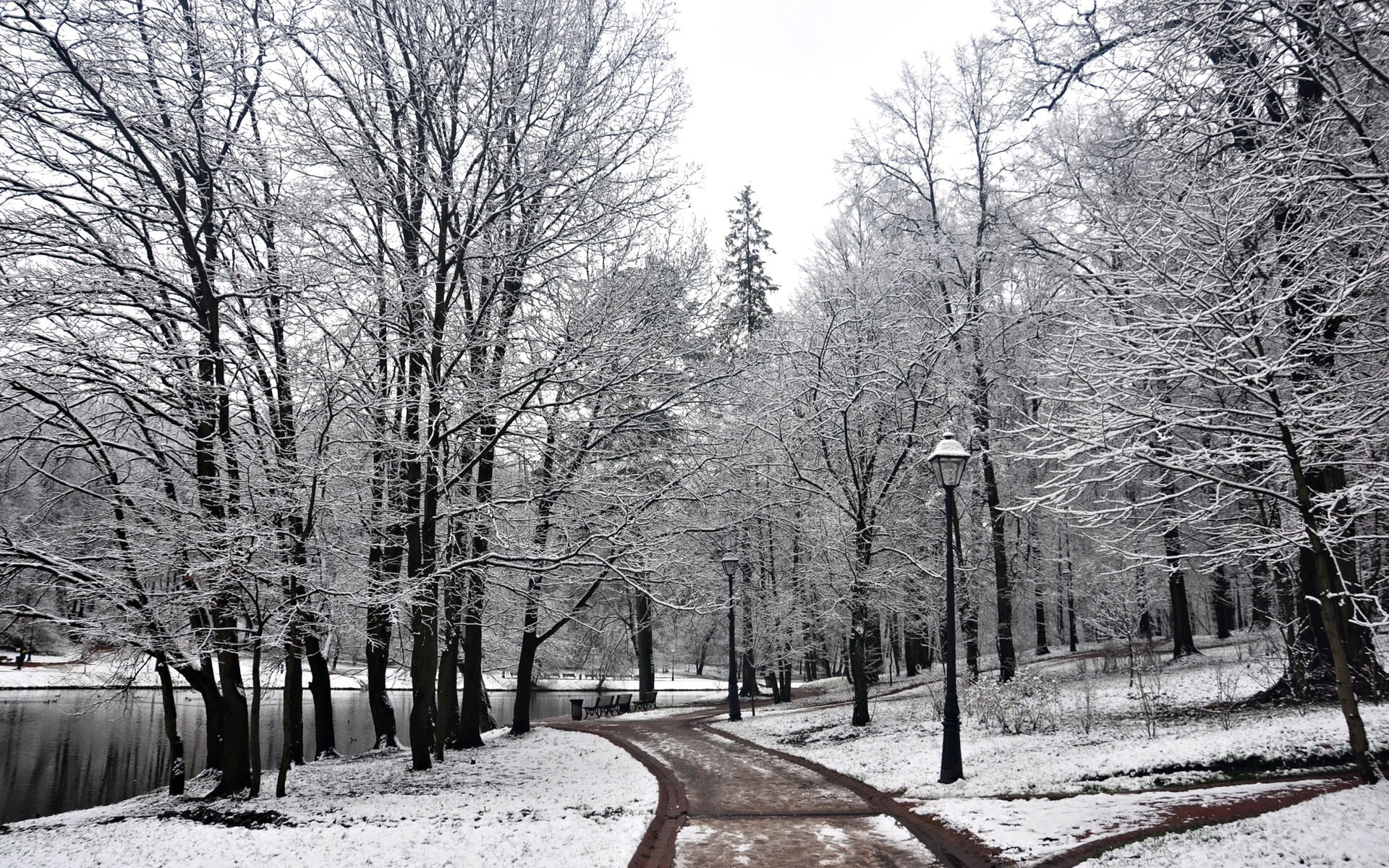 park, tree, outdoors, no people, snow, land, beauty in nature, trees, lake, tranquil scene, plant, forest, environment, scenics - nature, bench, covering, HD Wallpaper