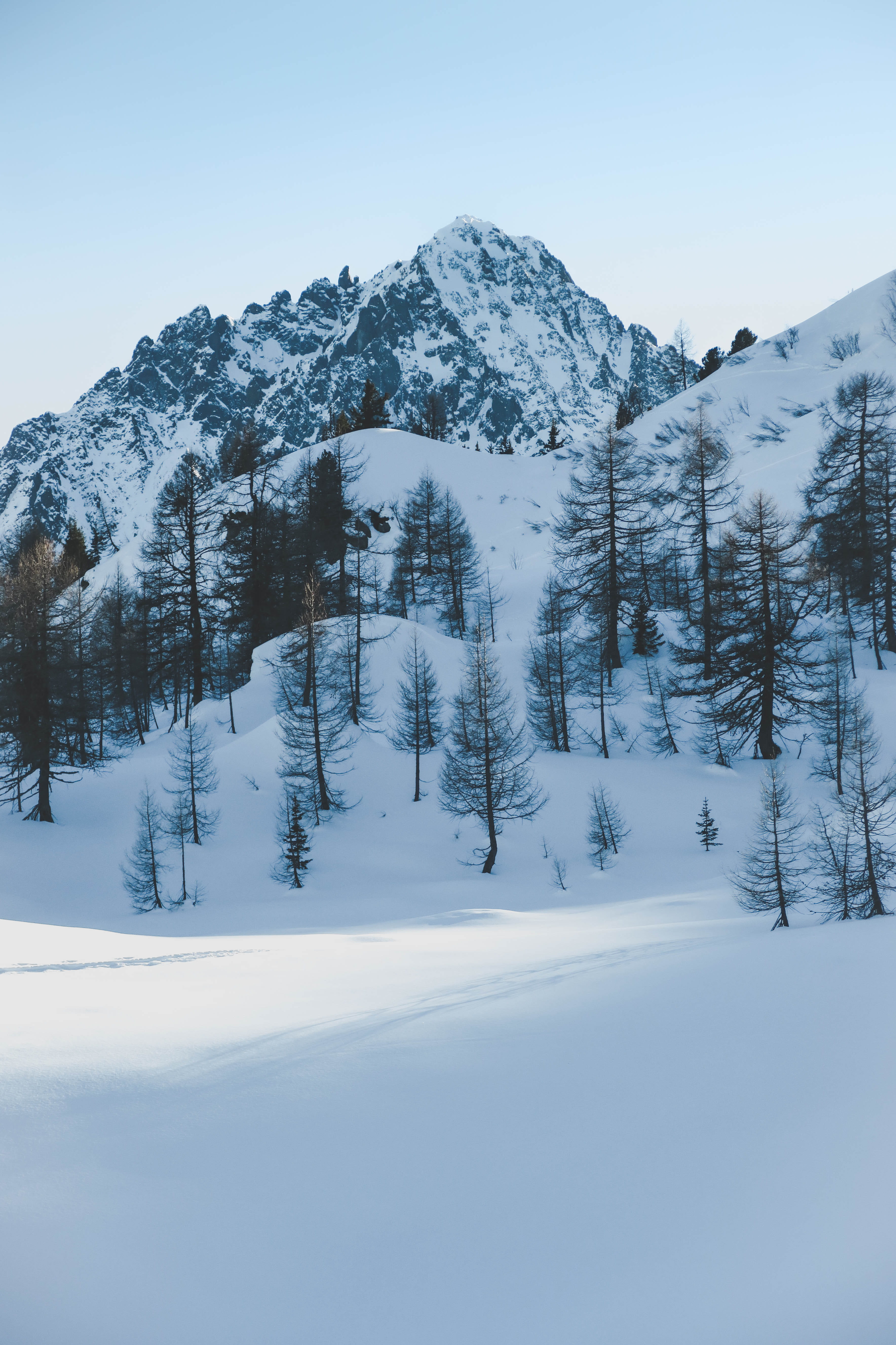 nature, sunset, alps, conifer, 5K, sky, pine, cold temperature, mountain range, tranquility, fir, mountain peak, outdoors, mountain, trees, snowcapped mountain, Phone HD Wallpaper
