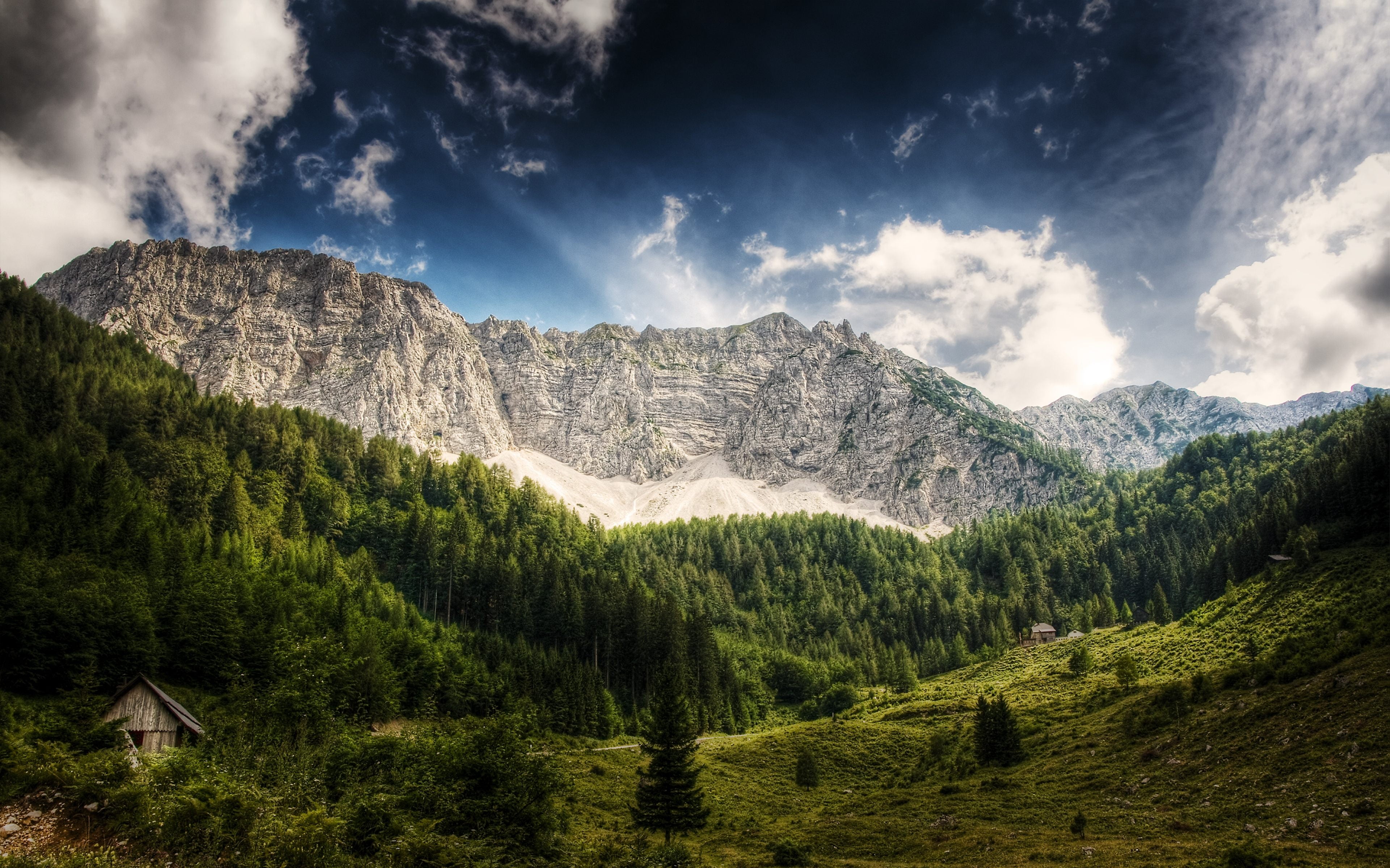 pine tree, trees, craggy, 4K, white, house, wooden, coniferous tree, desktop, alps, sky, pine, day, tranquil scene, outdoors, green color, landscape, HD Wallpaper