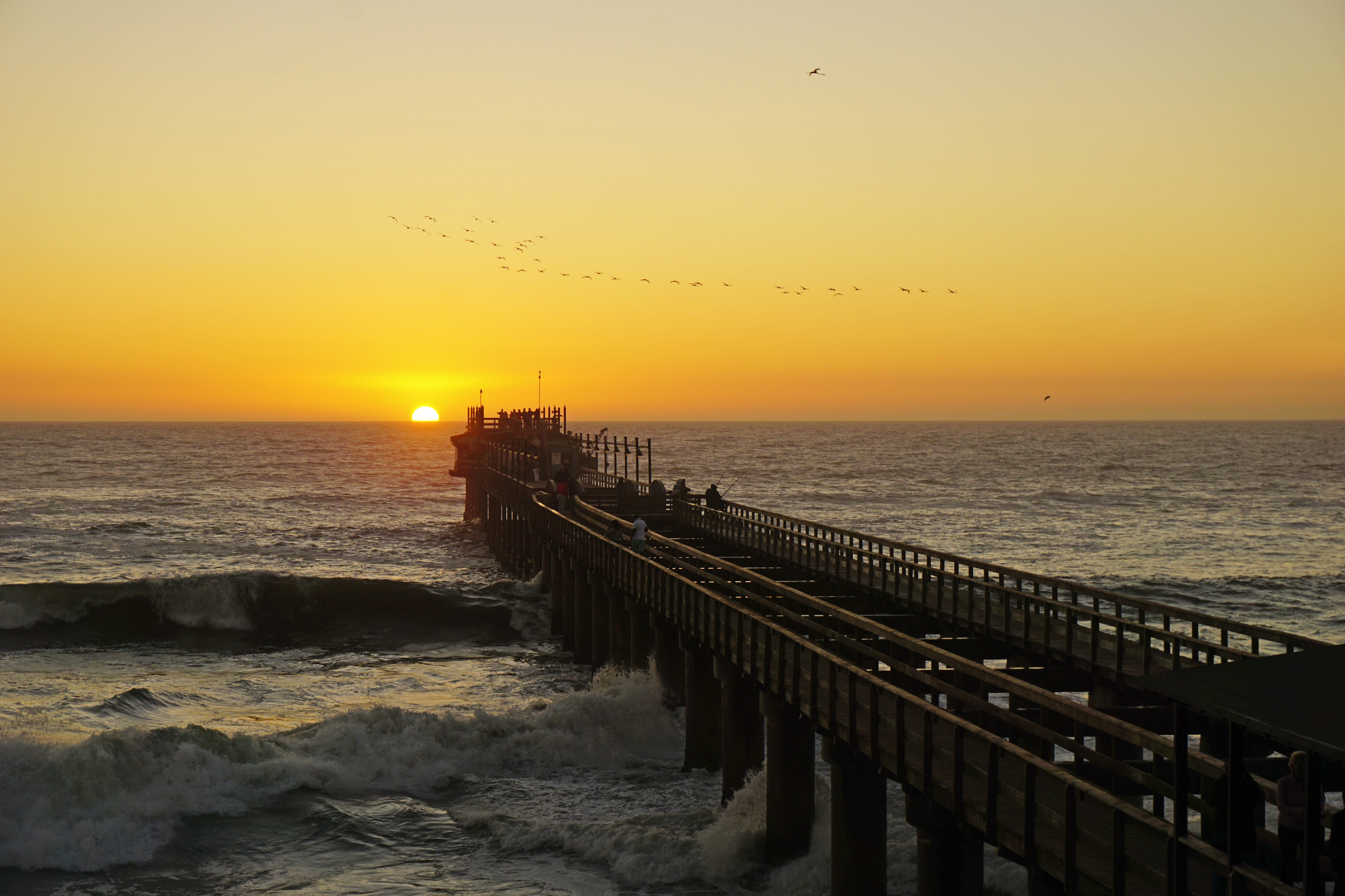 no people, non-urban scene, pier, scenics - nature, tranquil scene, orange color, 5K, sun, sky, africa, tranquility, water, horizon over water, bird, horizon, HD Wallpaper
