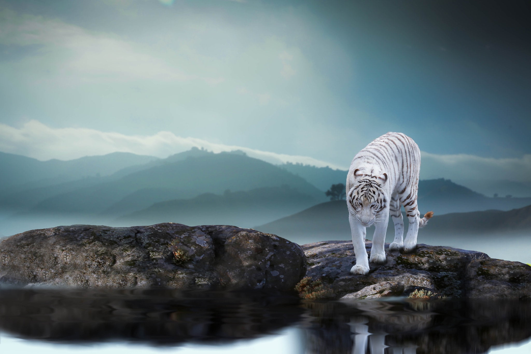 big cats, rock, tranquility, non-urban scene, mountain, scenics - nature, tranquil scene, solid, reflection, lake, waterfront, nature, sky, idyllic, day, HD Wallpaper