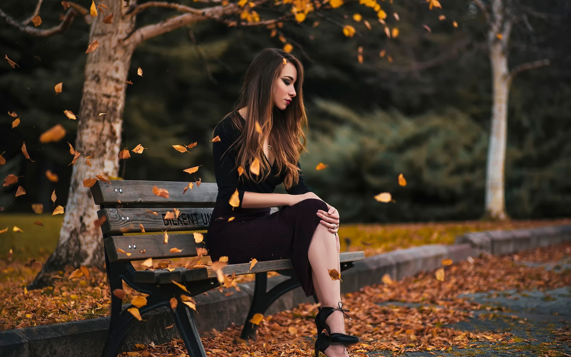 women outdoors, leaves, women, dress, classy, sitting, black dress, depth of field, 1080P, heels, blonde, long hair, HD Wallpaper