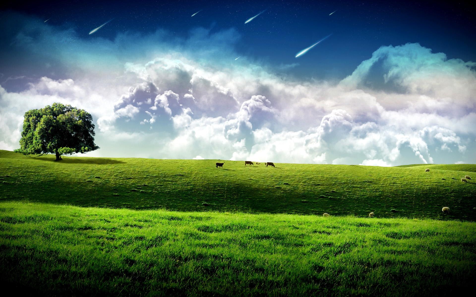 stars, 1080P, tree, landscape, mountain, shooting, daydaylight, clouds, nature, field, nature and landscapes, grass, HD Wallpaper