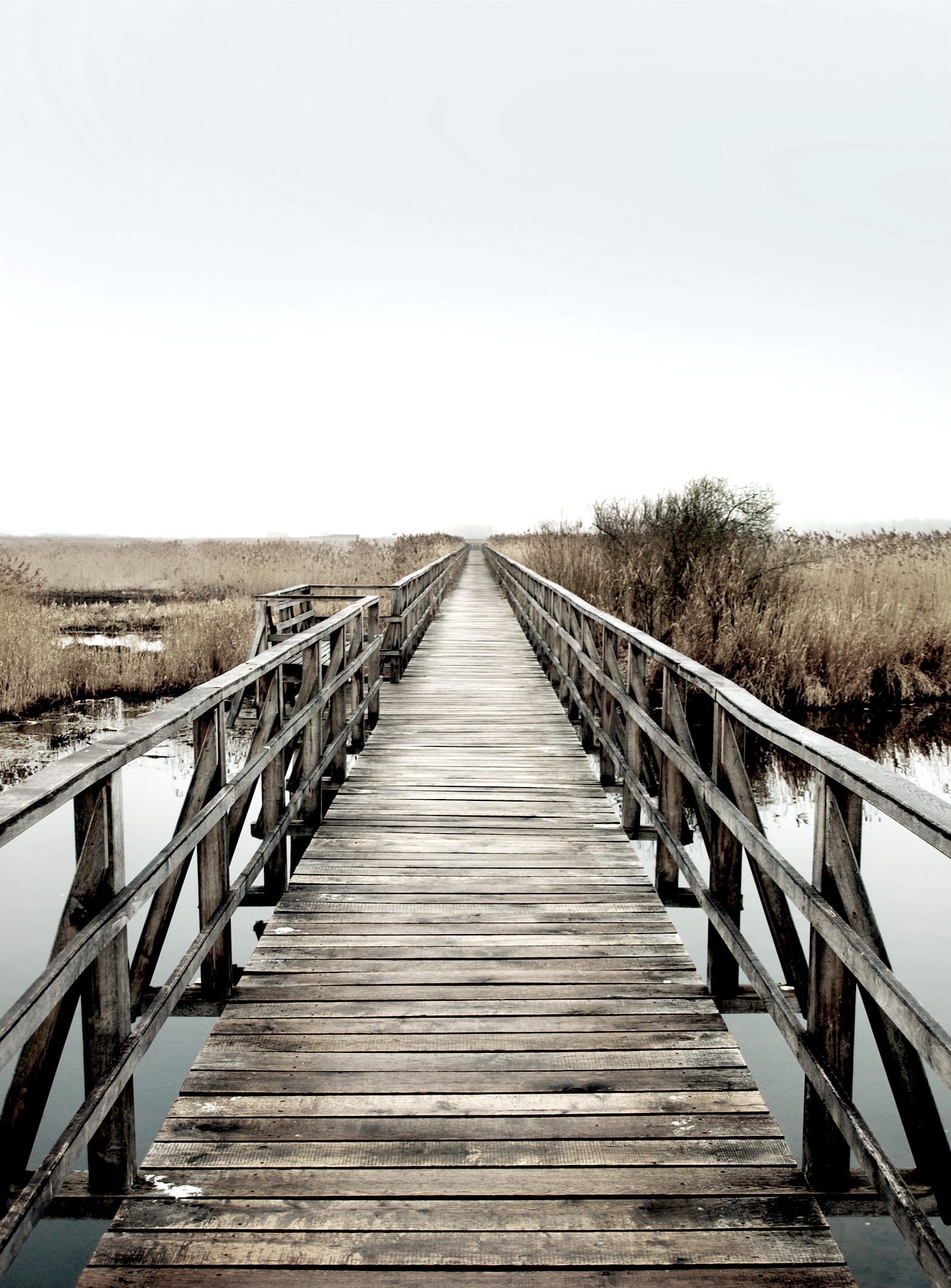 gangplank, sky, wood paneling, wood - material, tranquil scene, tranquility, beauty in nature, long, day, footbridge, 1080P, scenics - nature, railing, Phone HD Wallpaper