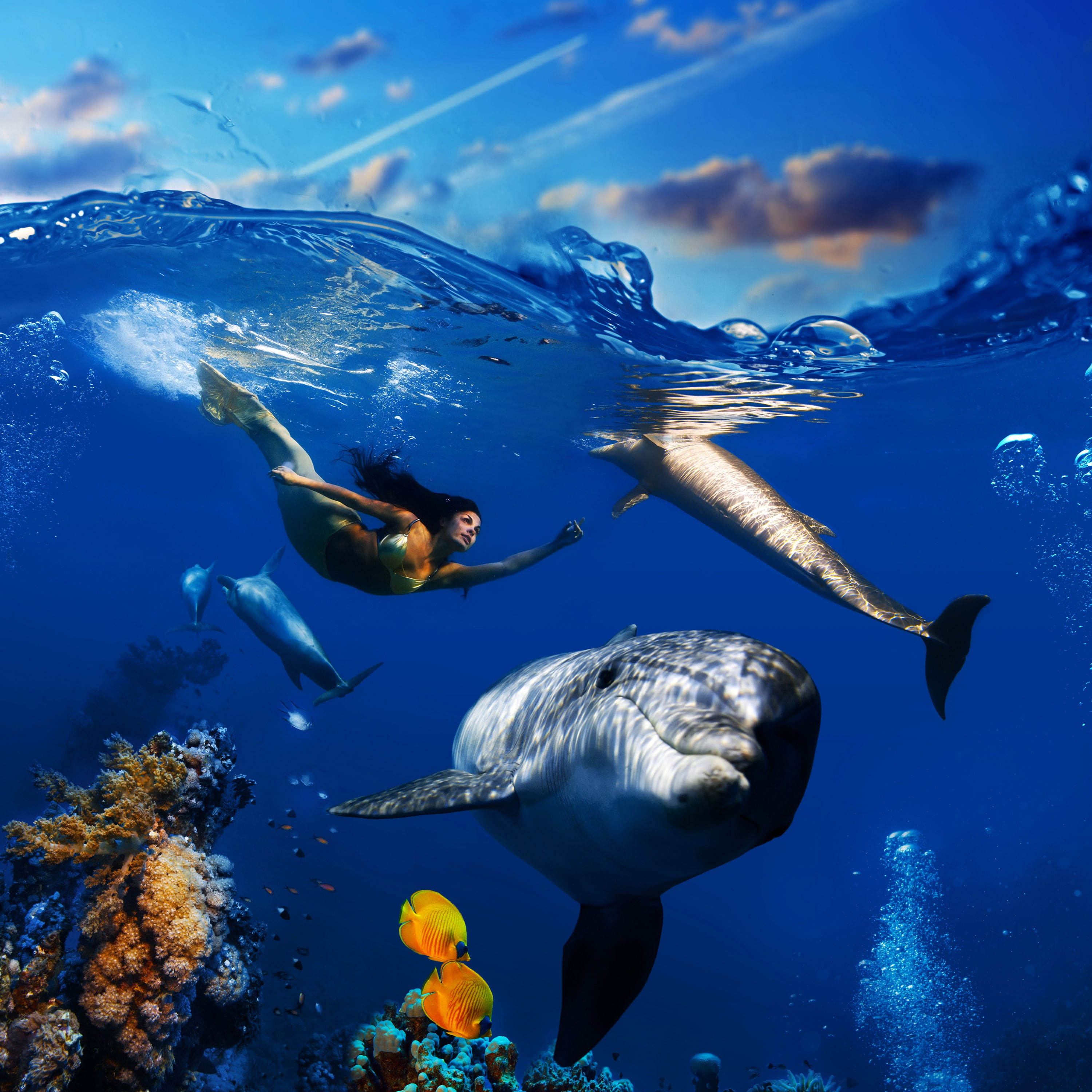 underwater world, corals, sea, fish, bubbles, 2K, the sky, floats, mermaid, under water, dolphins, clouds, wave, Phone HD Wallpaper