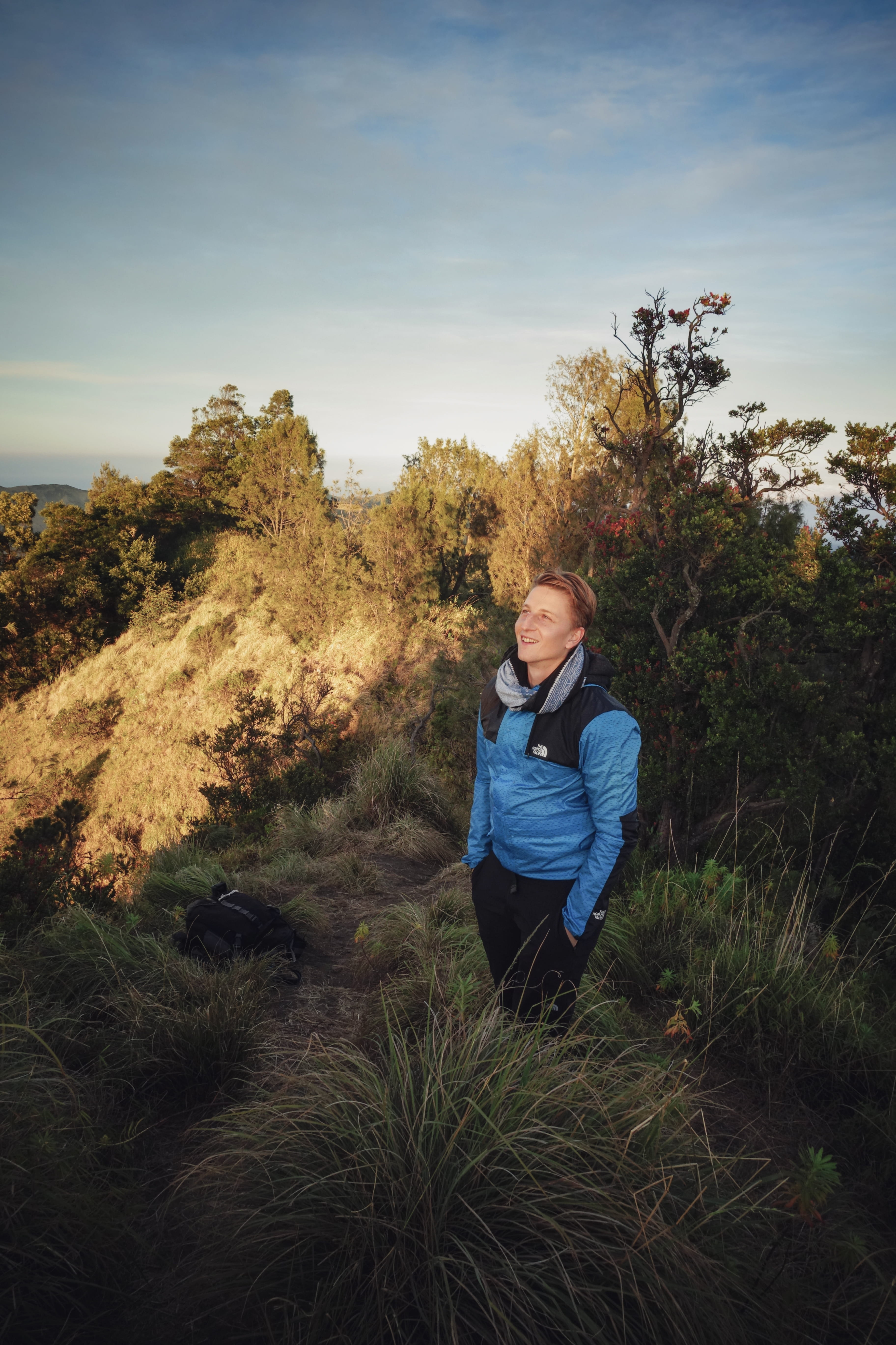 plant, hiking, grass, daytime, tree, mount bromo, sunrise, fascination, person, vegetation, beauty in nature, leisure activity, long sleeve, casual clothing, Phone HD Wallpaper