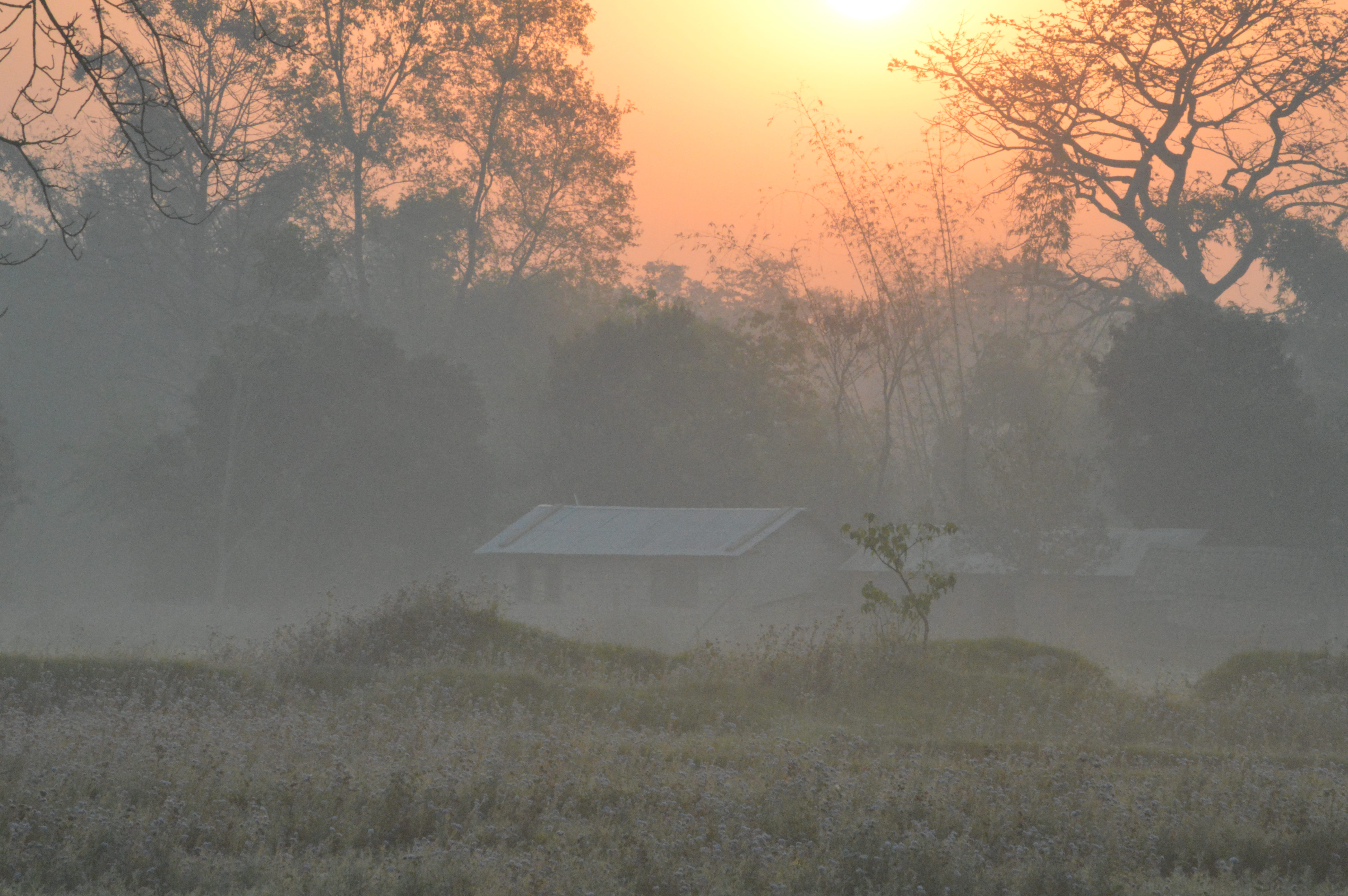 landscape, no people, nature, nepal, sunset, sun, hazy, beauty in nature, sky, tranquil scene, 5K, morning, outdoors, architecture, plant, sunrise, bardia, HD Wallpaper