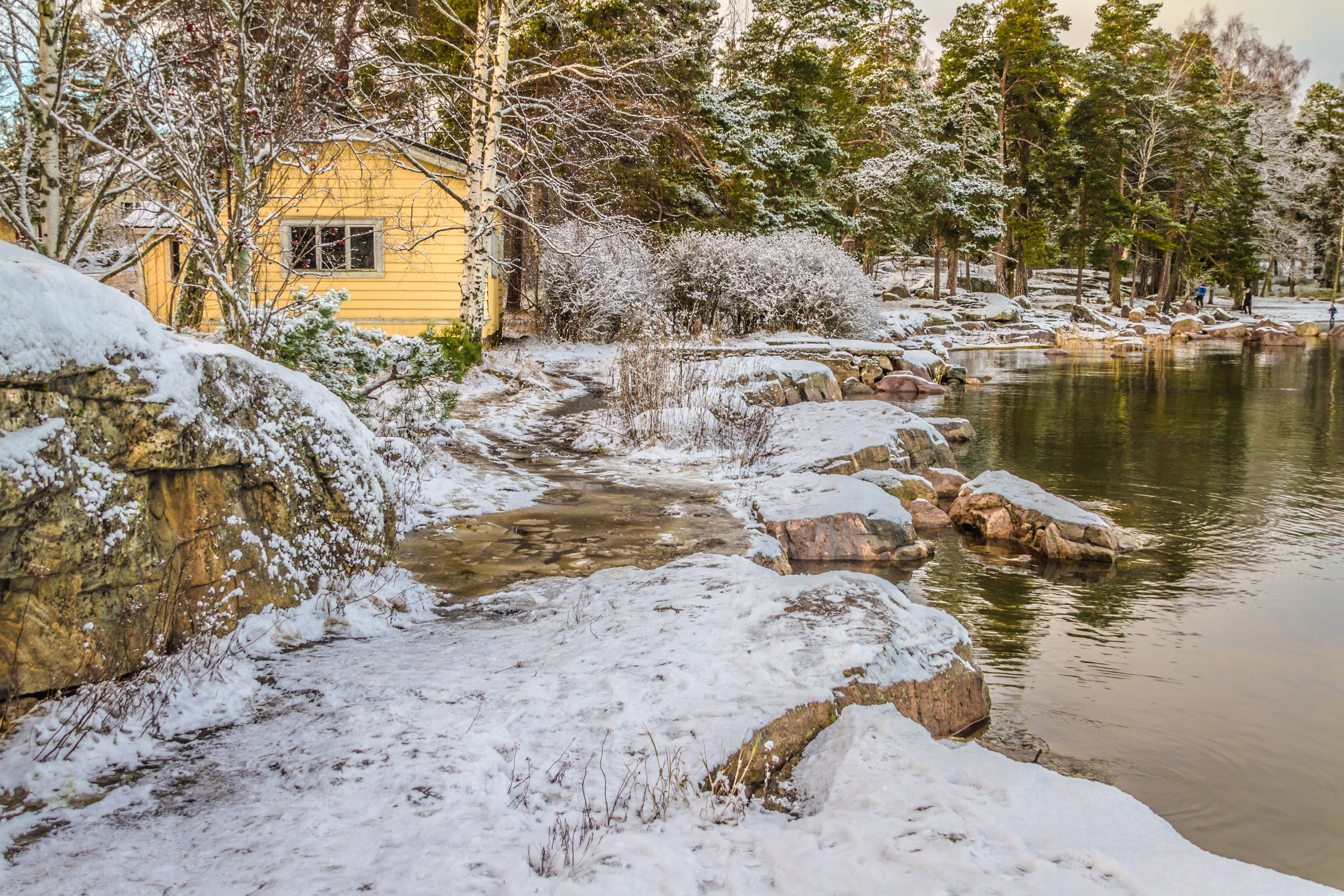 frost, solid, matti bay, rock, ice, landscape, cold temperature, sea, tranquility, nature, day, winter, yellow cottage, flowing water, plant, espoo, cold, HD Wallpaper