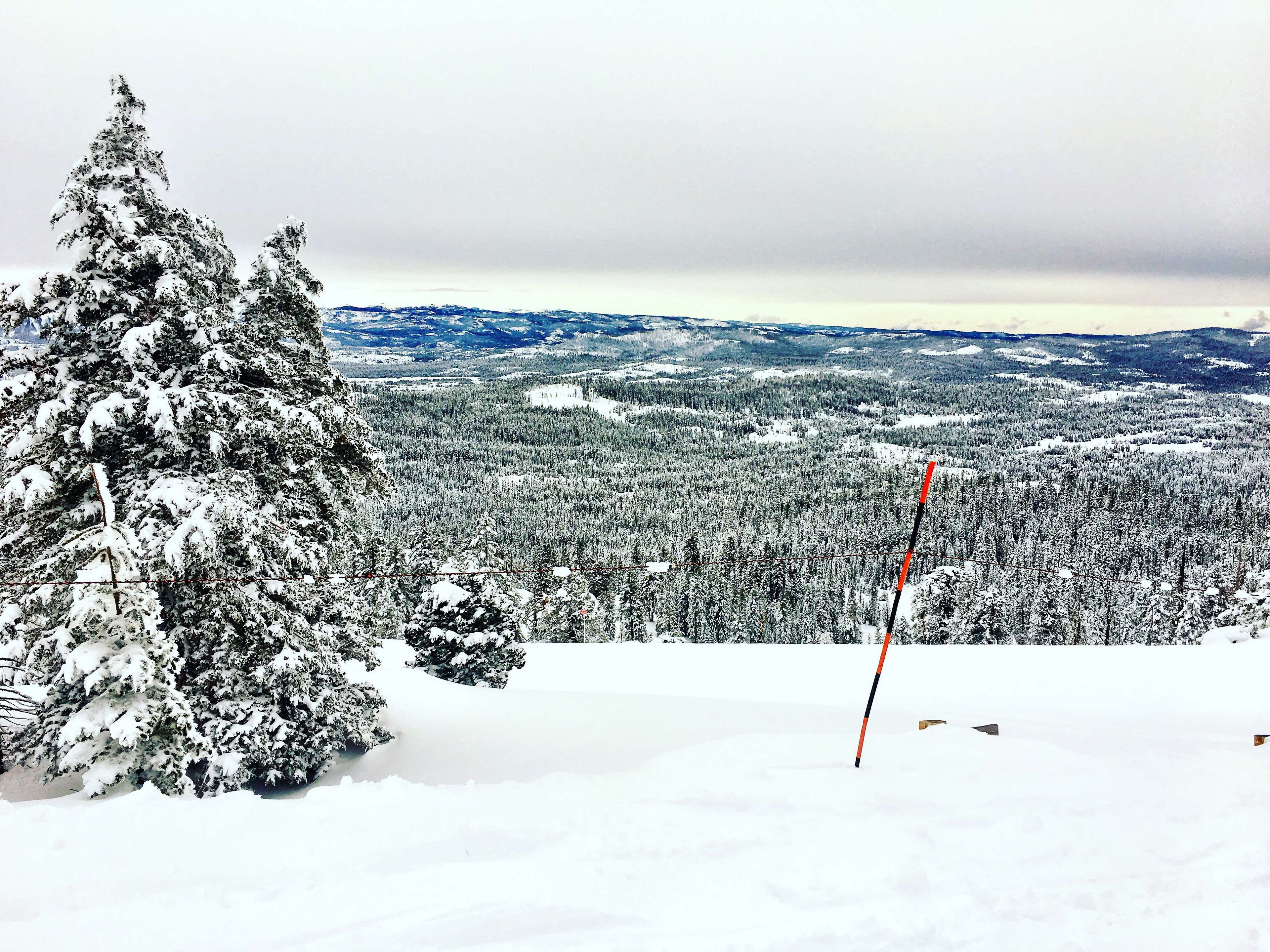 beauty in nature, environment, land, nature, snowboard, lake tahoe, field, ski, tree, snowcapped mountain, white color, mountain, winter, non-urban scene, HD Wallpaper