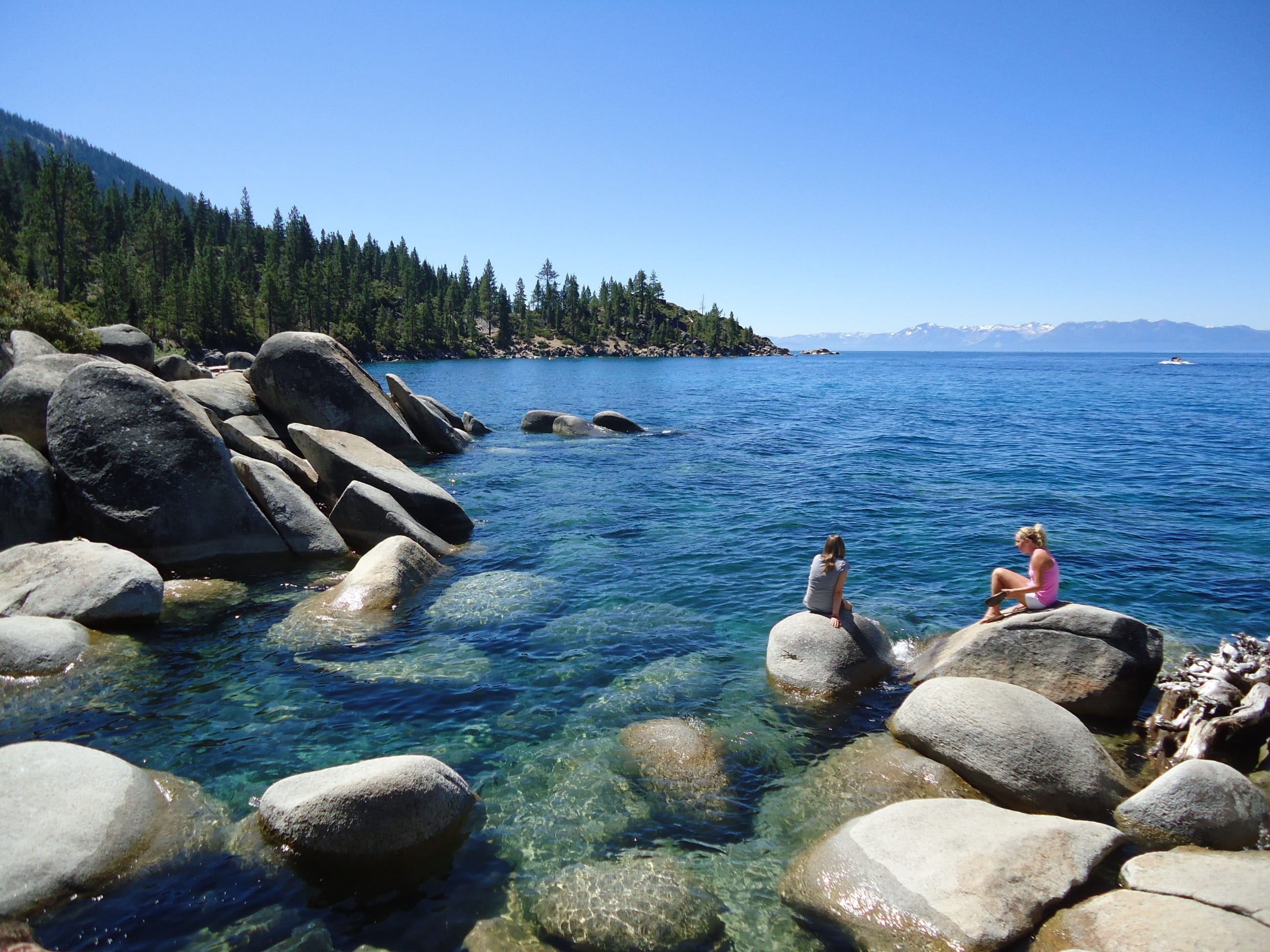 Lake Tahoe, blue, sky, lake, 2K, group of animals, bolders, outdoors, animal themes, nature, no people, animals in the wild, clear sky, solid, day, rock, HD Wallpaper
