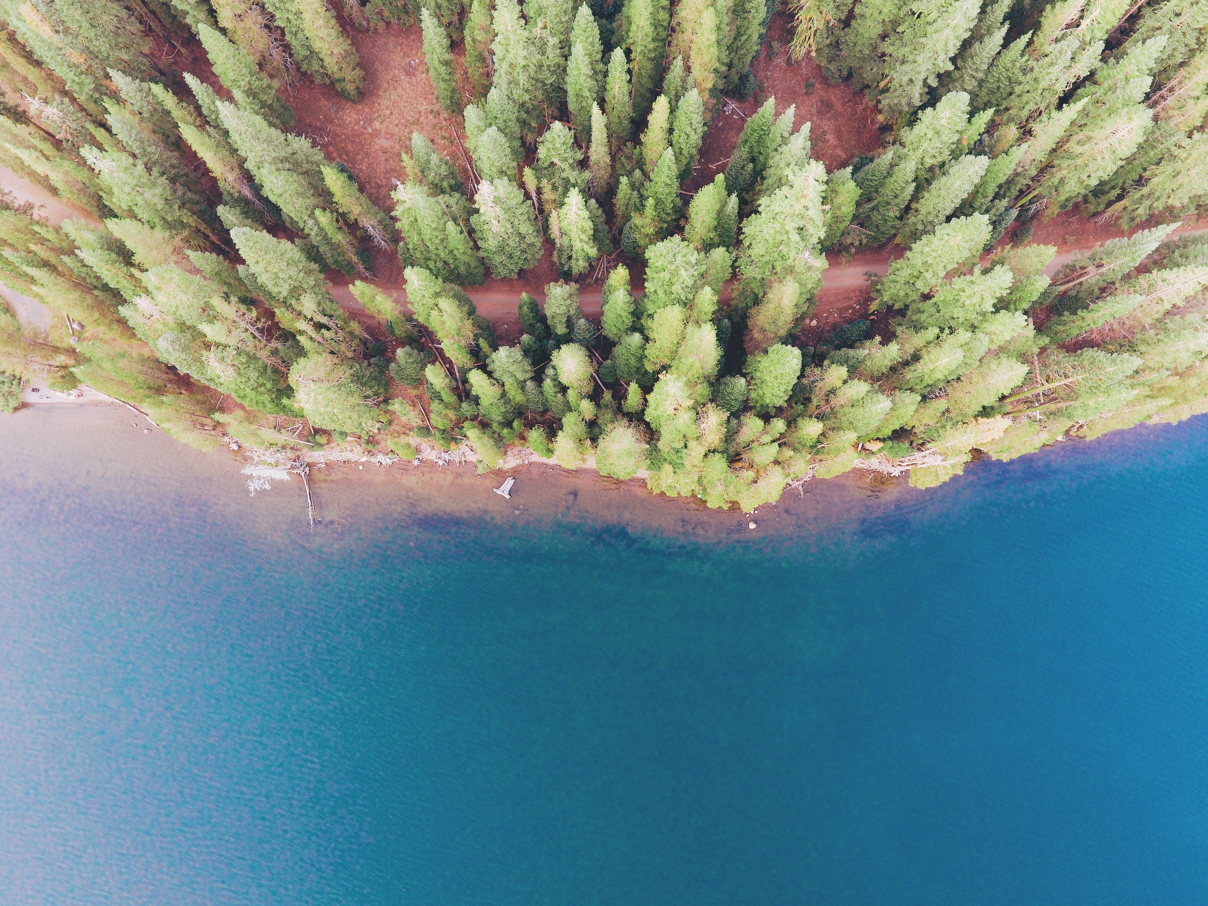 aerial, tranquil scene, water, tranquility, field, sky, no people, scenics - nature, photography, freshness, underwater, tree, nature, beauty in nature, HD Wallpaper