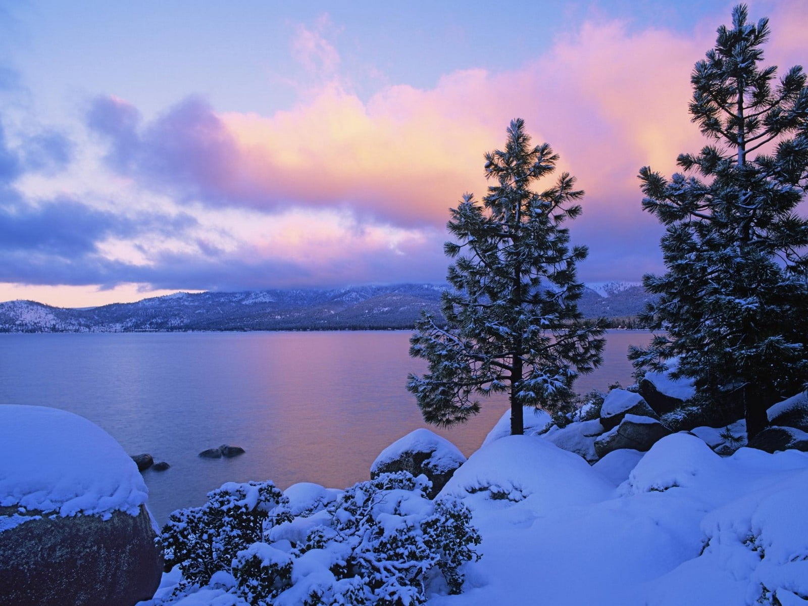 forest, dusk, plant, no People, tree, mountain Peak, tranquil Scene, sunset, european Alps, winter, nature, ice, mountain, trees, pines, water, pine tree, HD Wallpaper