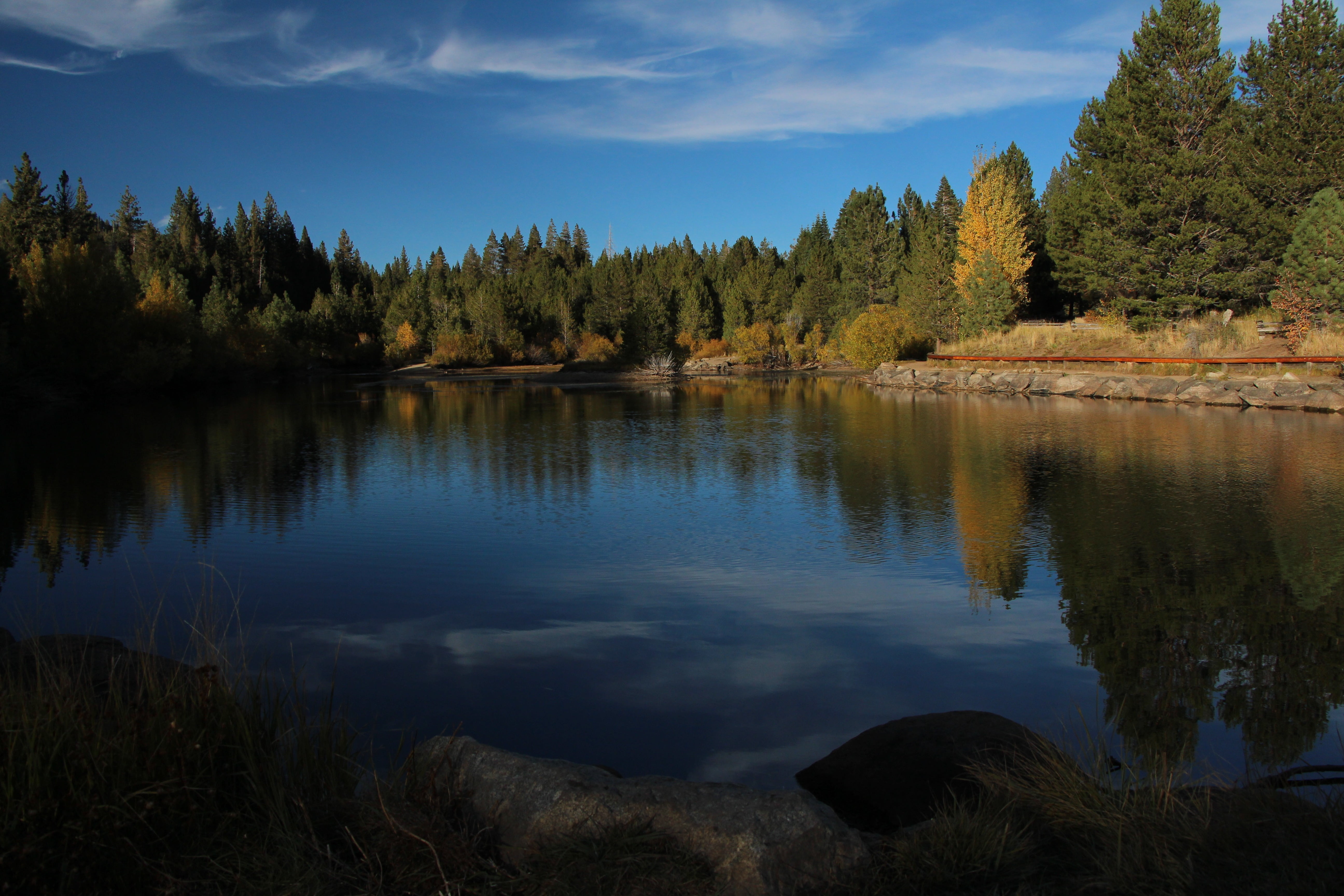 natural, landscape, wilderness, water, 5K, tranquil scene, reflection, lake, pine tree, beauty in nature, non-urban scene, tree, environment, outdoor, HD Wallpaper