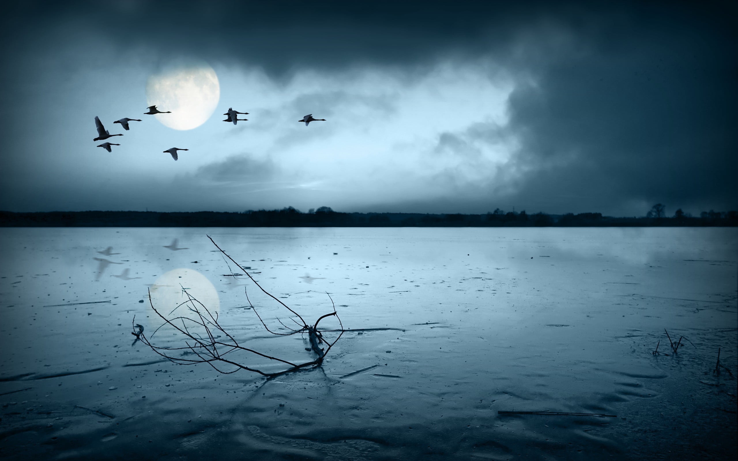 water, beauty in nature, animal wildlife, Moon, birds, silhouette, flying, bird, cloud - sky, flock of birds, vertebrate, scenics - nature, landscape, animals in the wild, HD Wallpaper